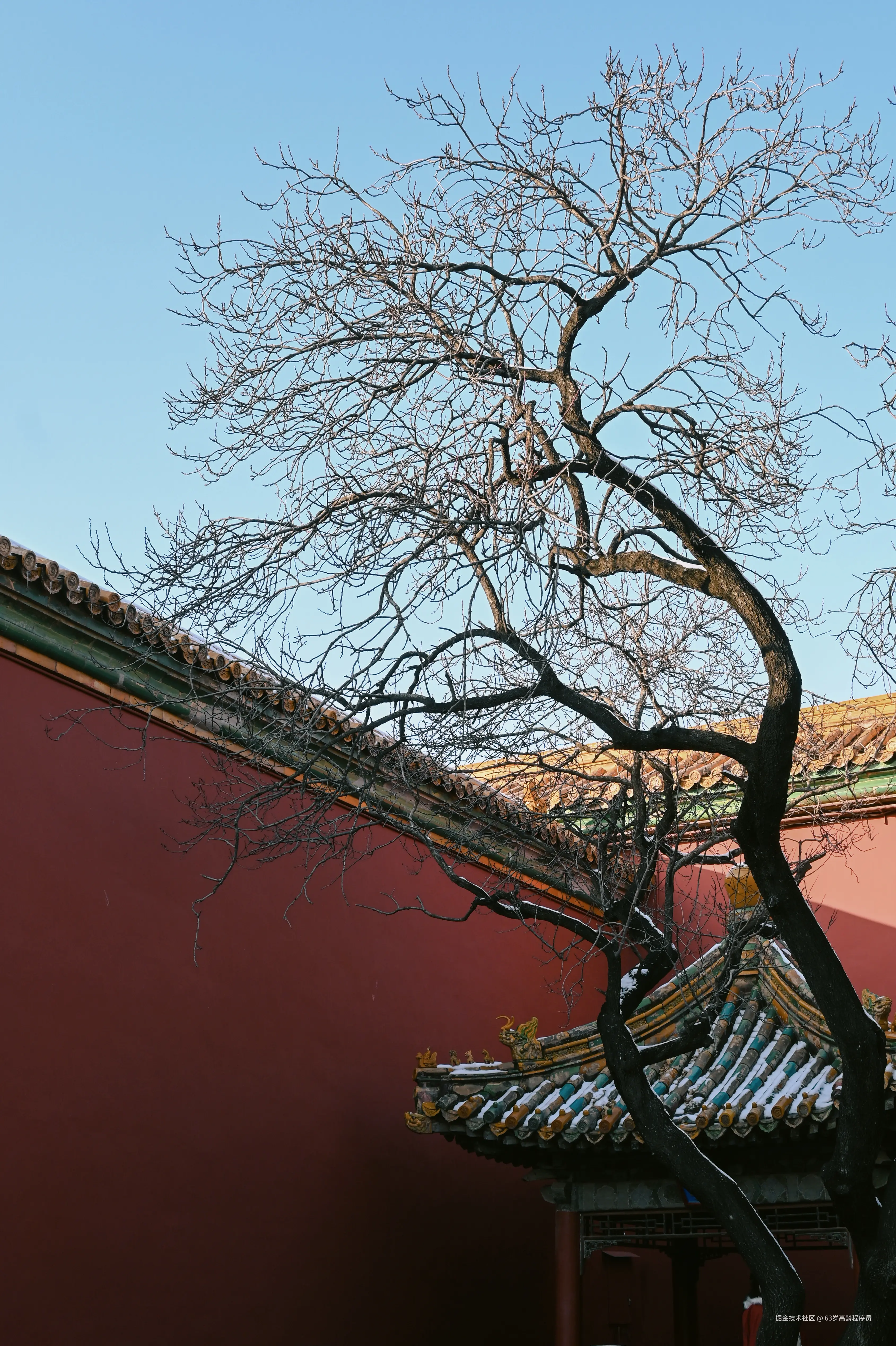 63岁高龄程序员于2025-12-19 09:23发布的图片