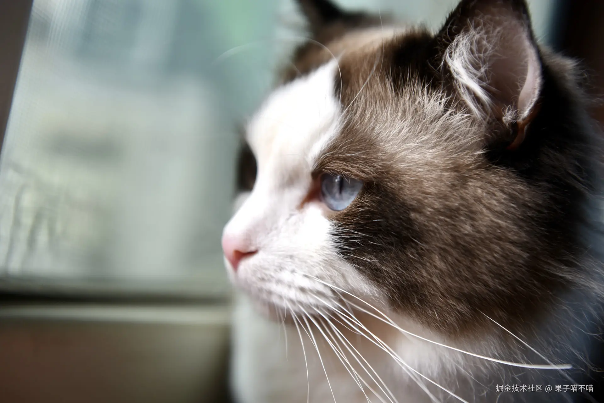 果子喵不喵于2025-04-15 11:34发布的图片