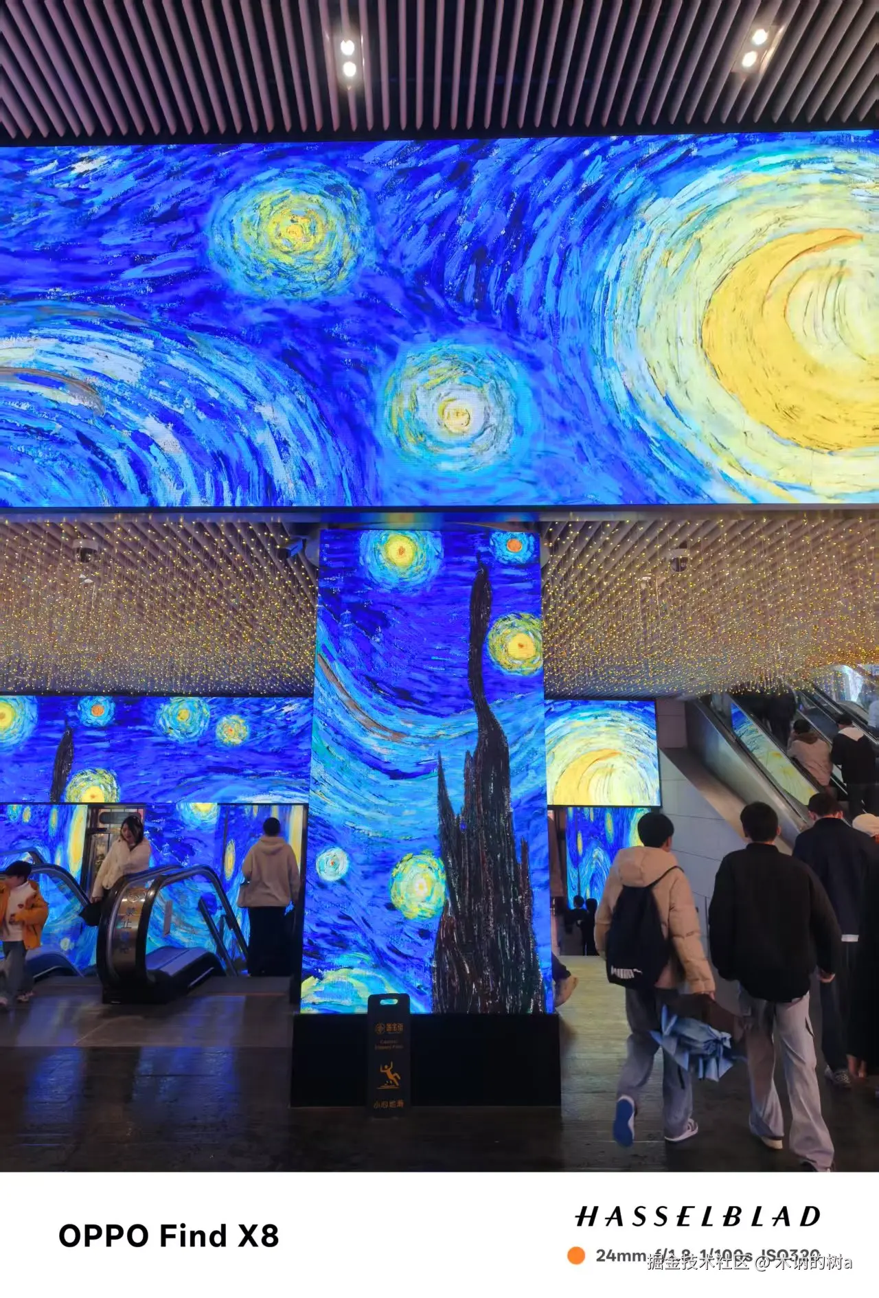 木讷的树a于2025-03-31 13:59发布的图片