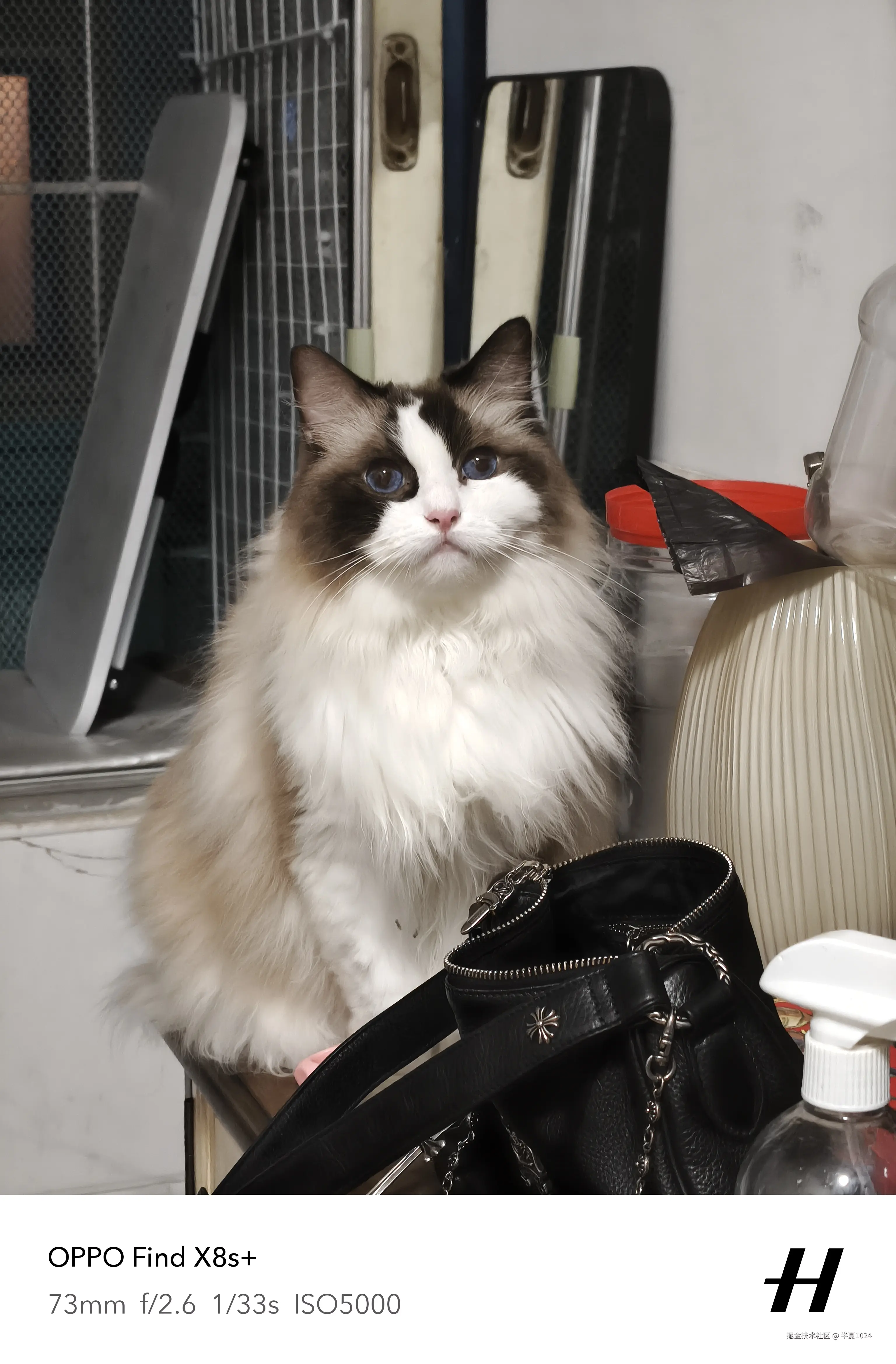 半夏1024于2025-06-23 09:42发布的图片