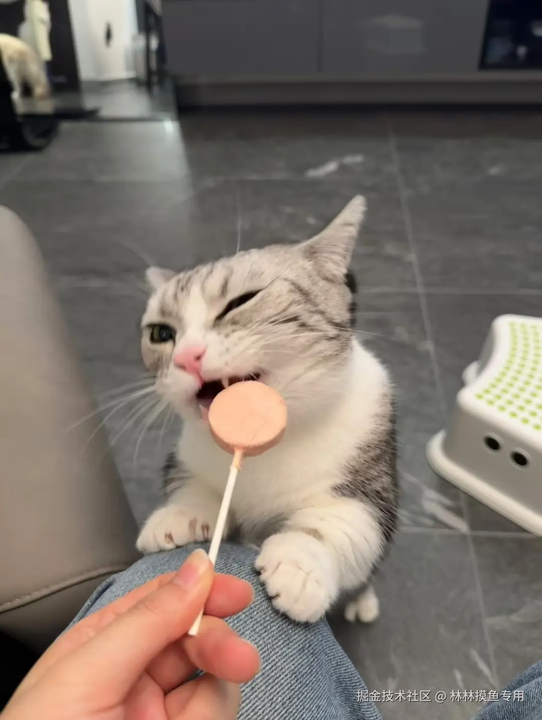 林林摸鱼专用于2024-10-29 11:33发布的图片