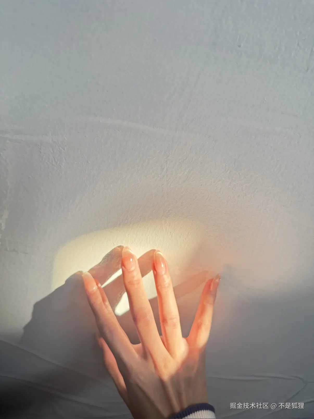 不是狐狸于2025-11-28 09:34发布的图片