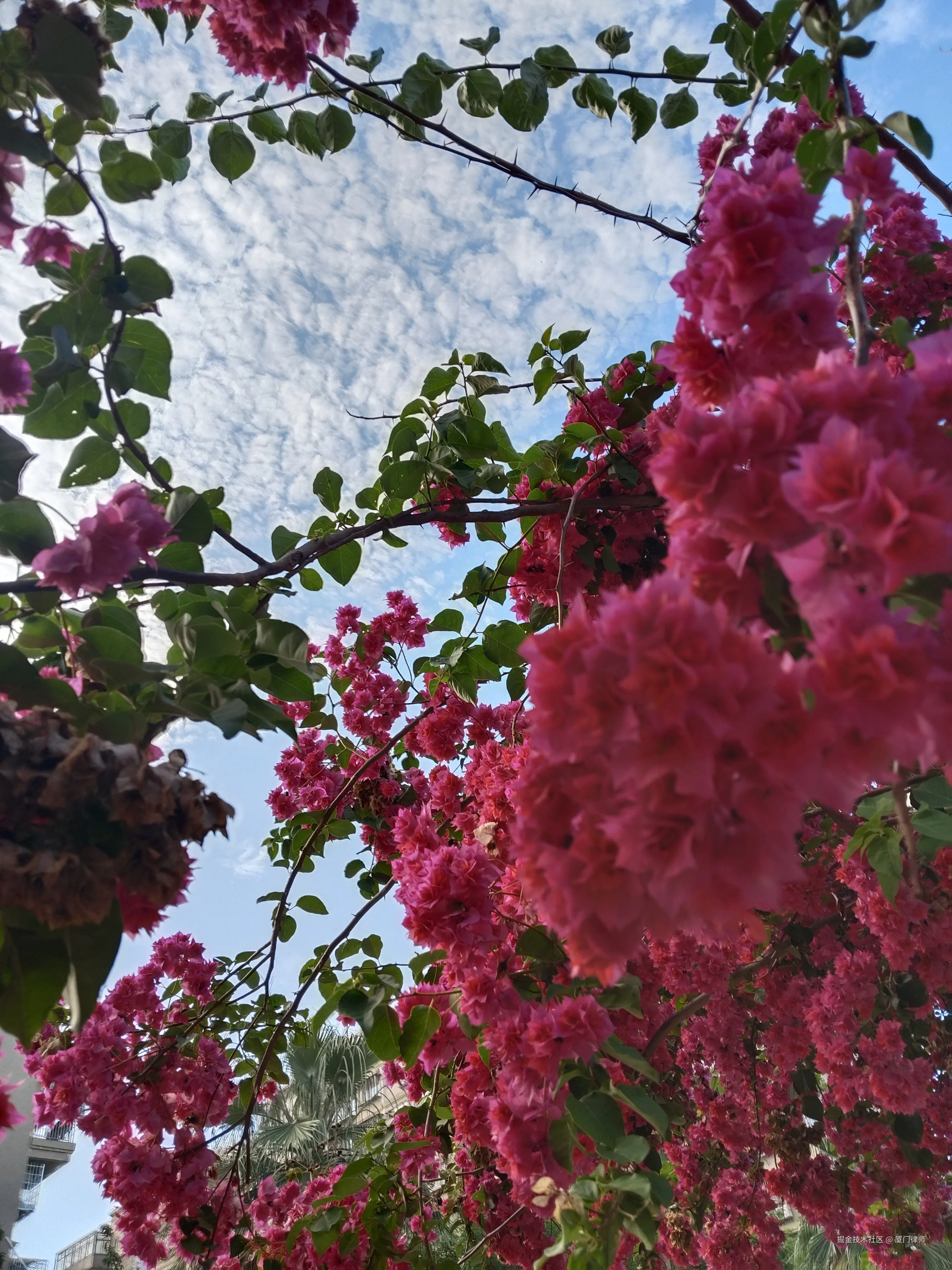 厦门律师于2025-06-23 10:23发布的图片