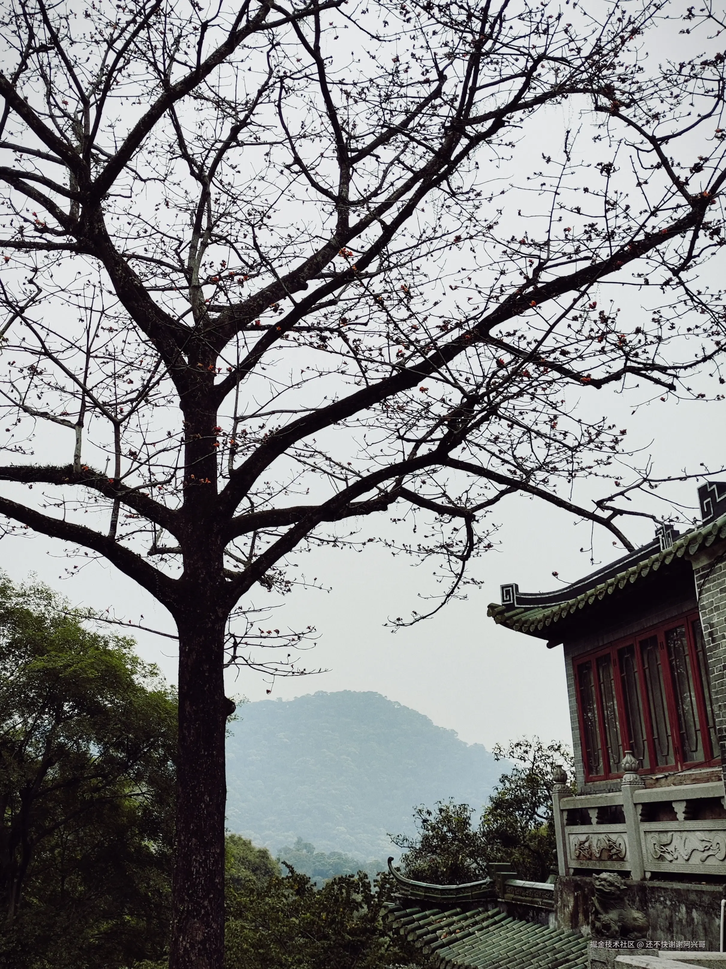 还不快谢谢阿兴哥于2025-04-07 11:14发布的图片