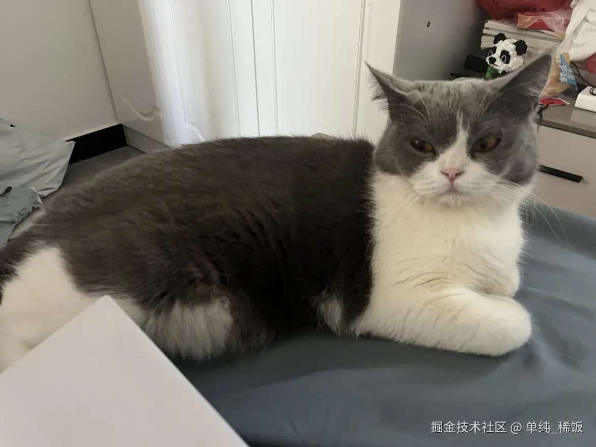 单纯_稀饭于2024-11-28 10:20发布的图片