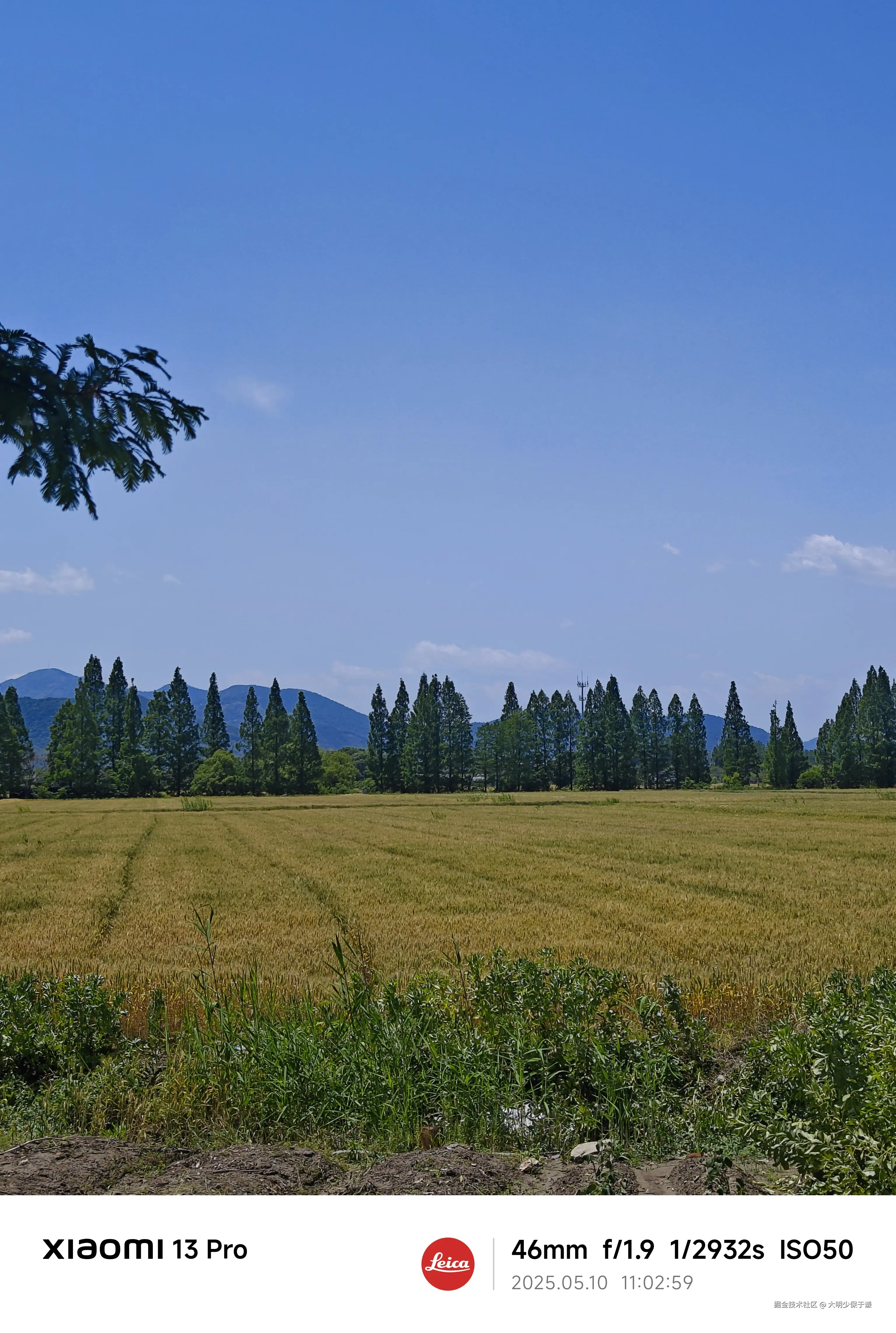 大明少保于谦于2025-05-12 09:51发布的图片