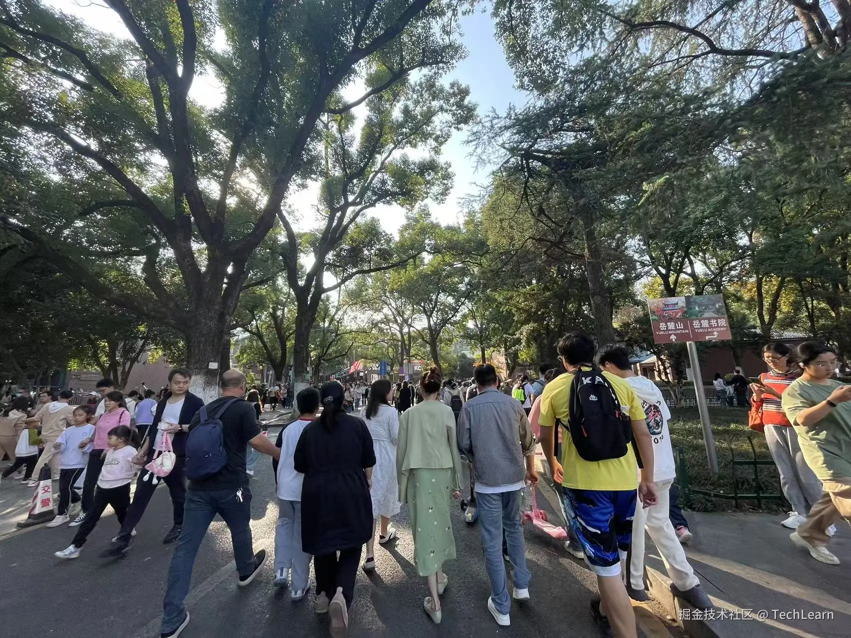 TechLearn于2024-11-10 15:46发布的图片