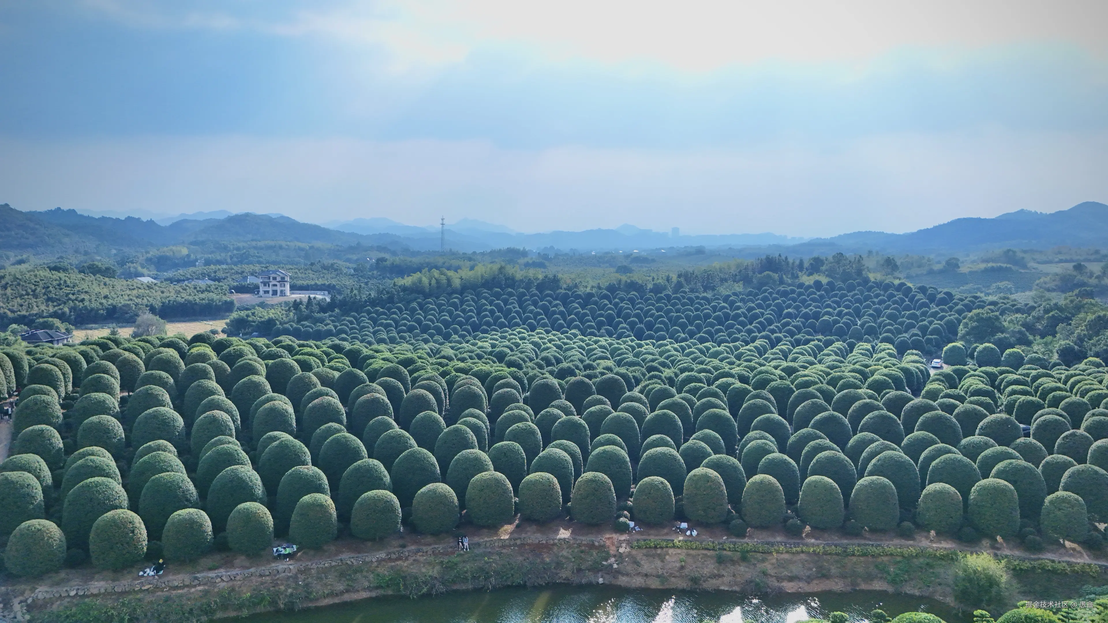 愚盦于2025-10-27 16:02发布的图片