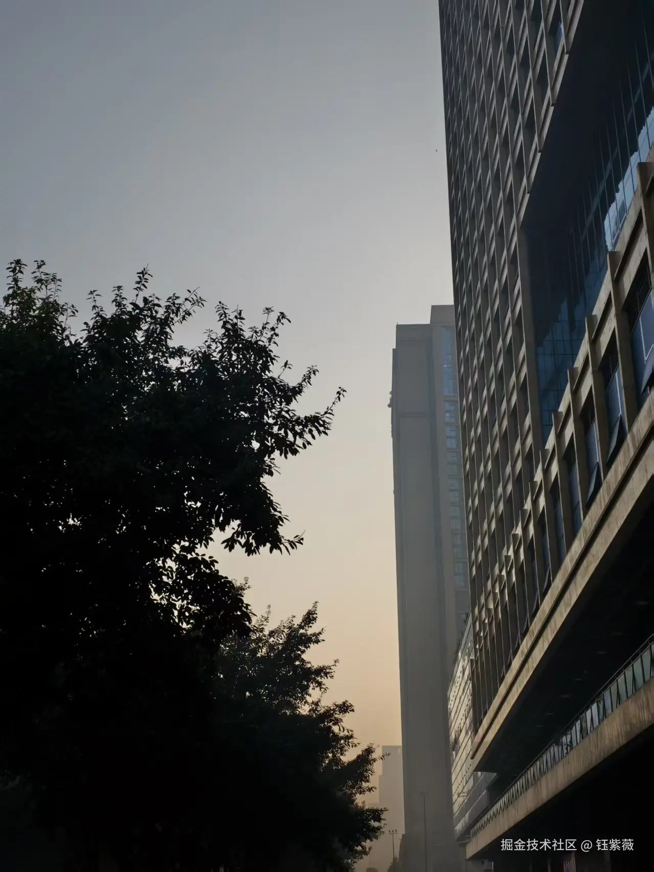 钰紫薇于2025-11-27 09:38发布的图片