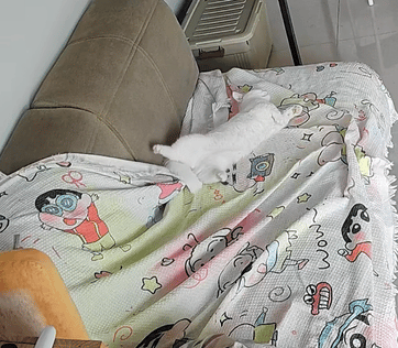 就爱吃火锅于2025-09-28 17:45发布的图片