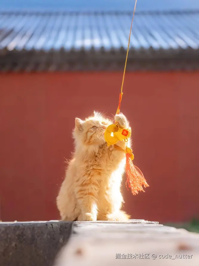 code_nutter于2025-02-25 15:13发布的图片