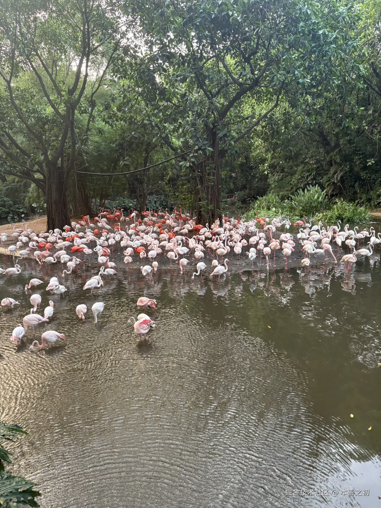 本善之初于2025-05-06 15:14发布的图片