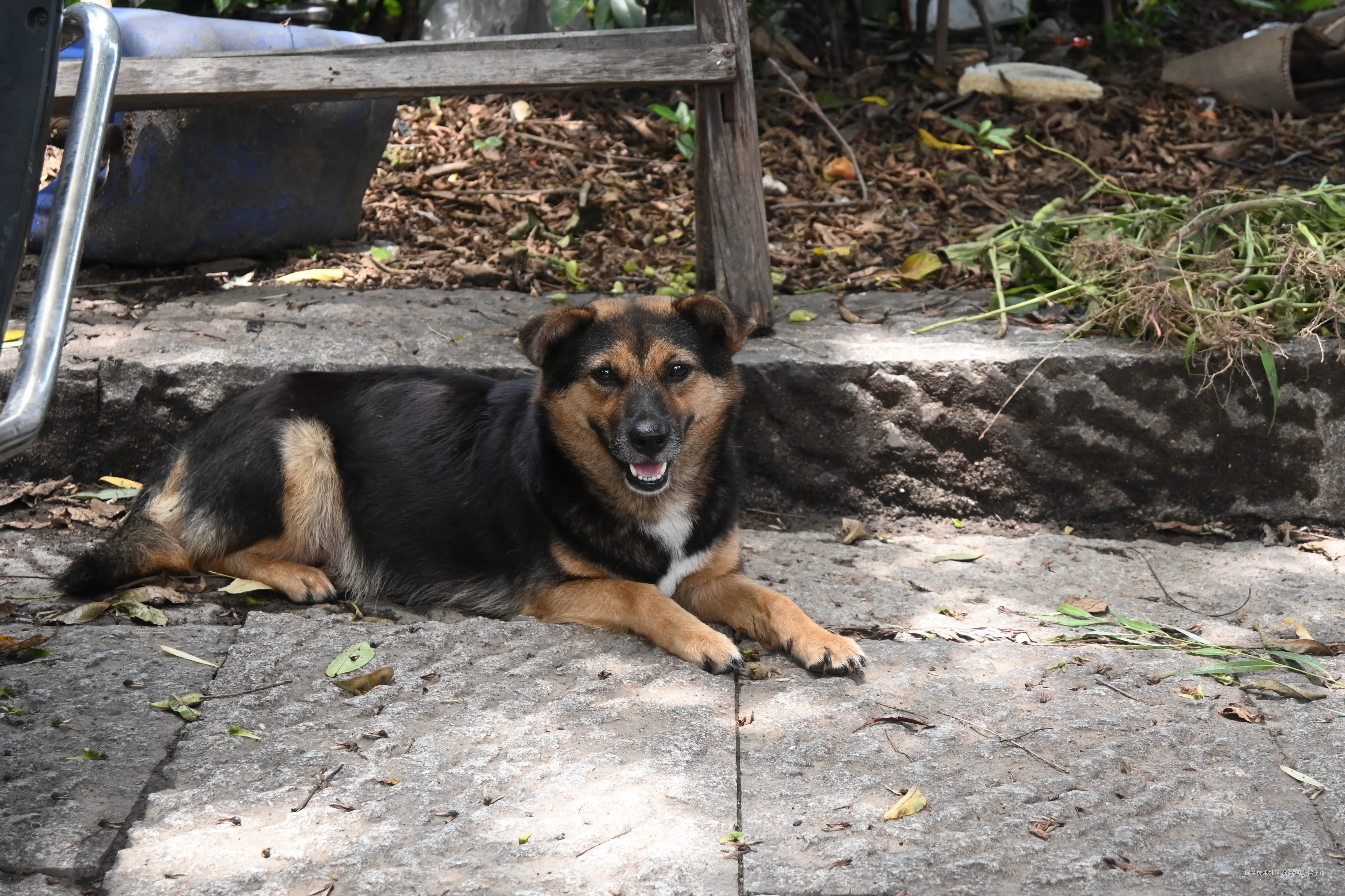 大明少保于谦于2025-07-02 11:33发布的图片