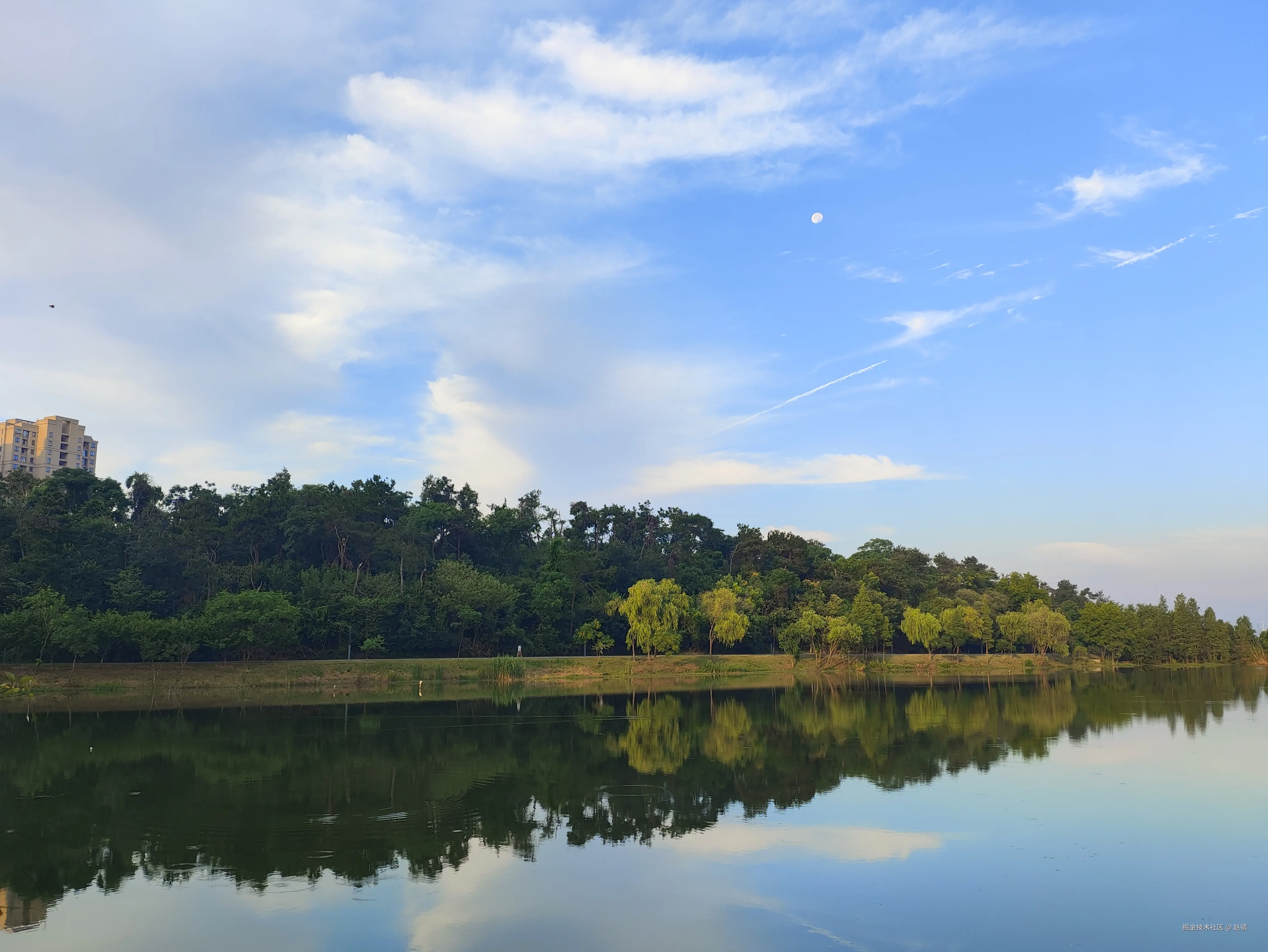 赵镇于2024-07-23 23:04发布的图片
