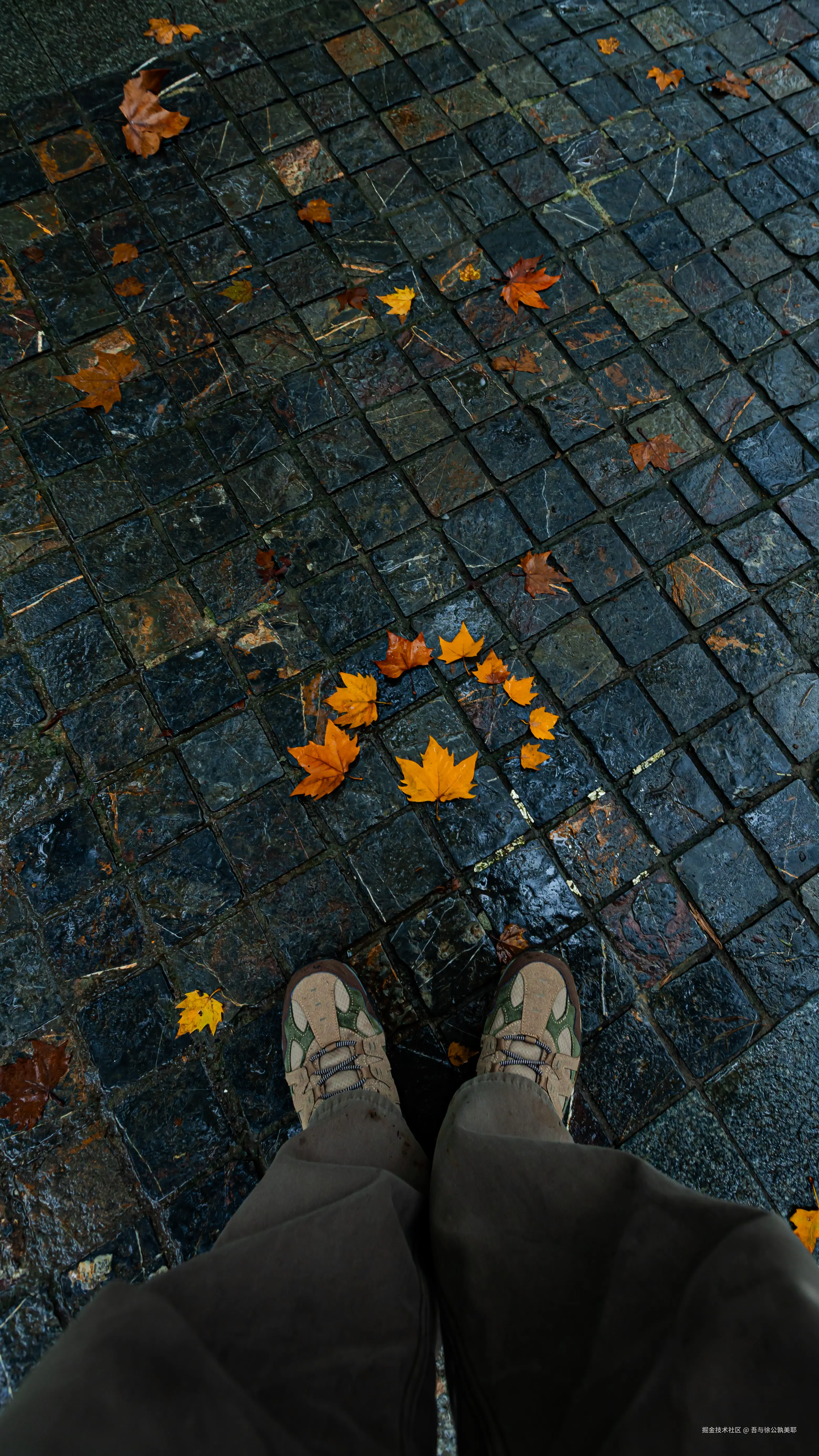 吾与徐公孰美耶于2025-11-24 10:13发布的图片