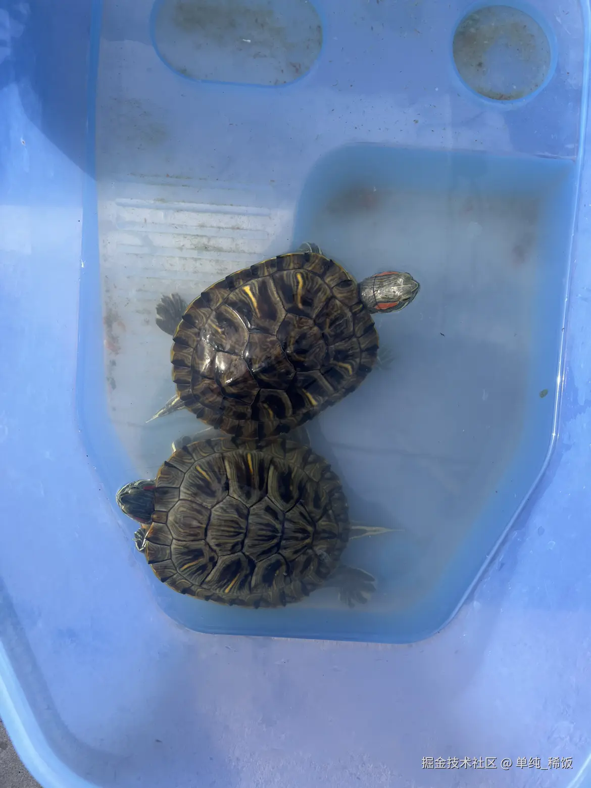 单纯_稀饭于2025-04-28 17:32发布的图片