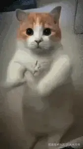 大大问号于2024-08-21 10:12发布的图片