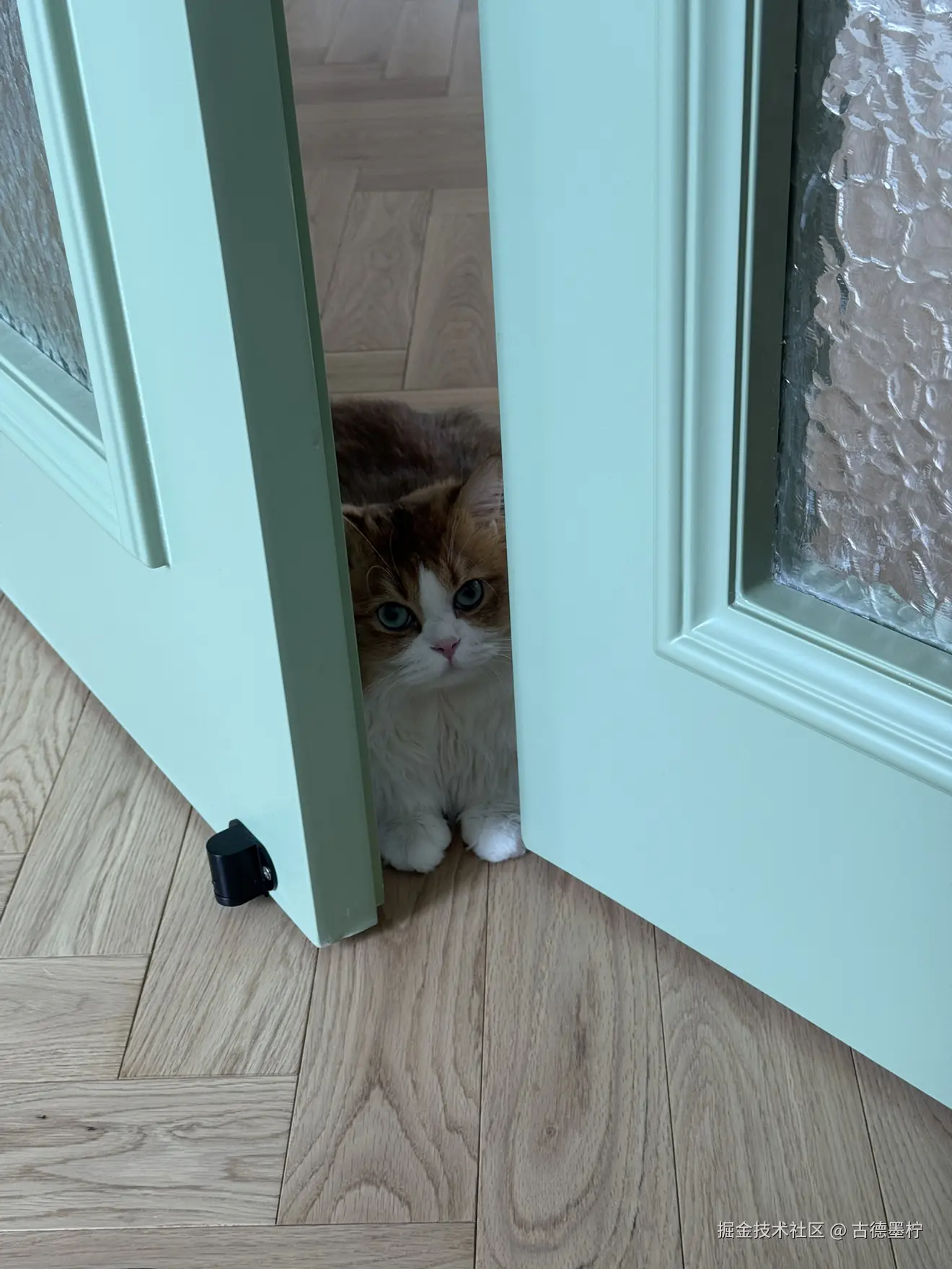 古德墨柠于2025-07-15 08:54发布的图片