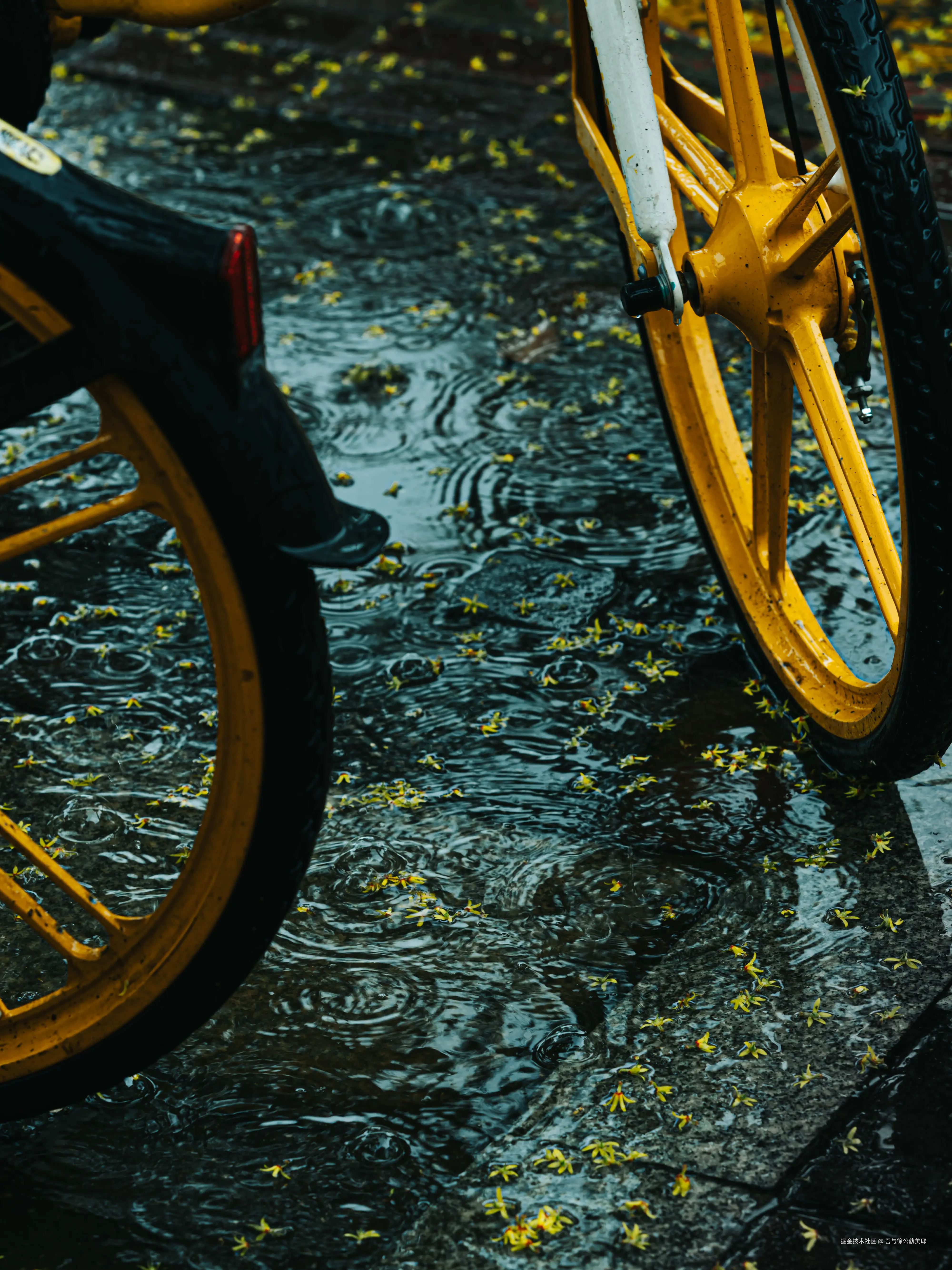 吾与徐公孰美耶于2024-09-20 10:12发布的图片