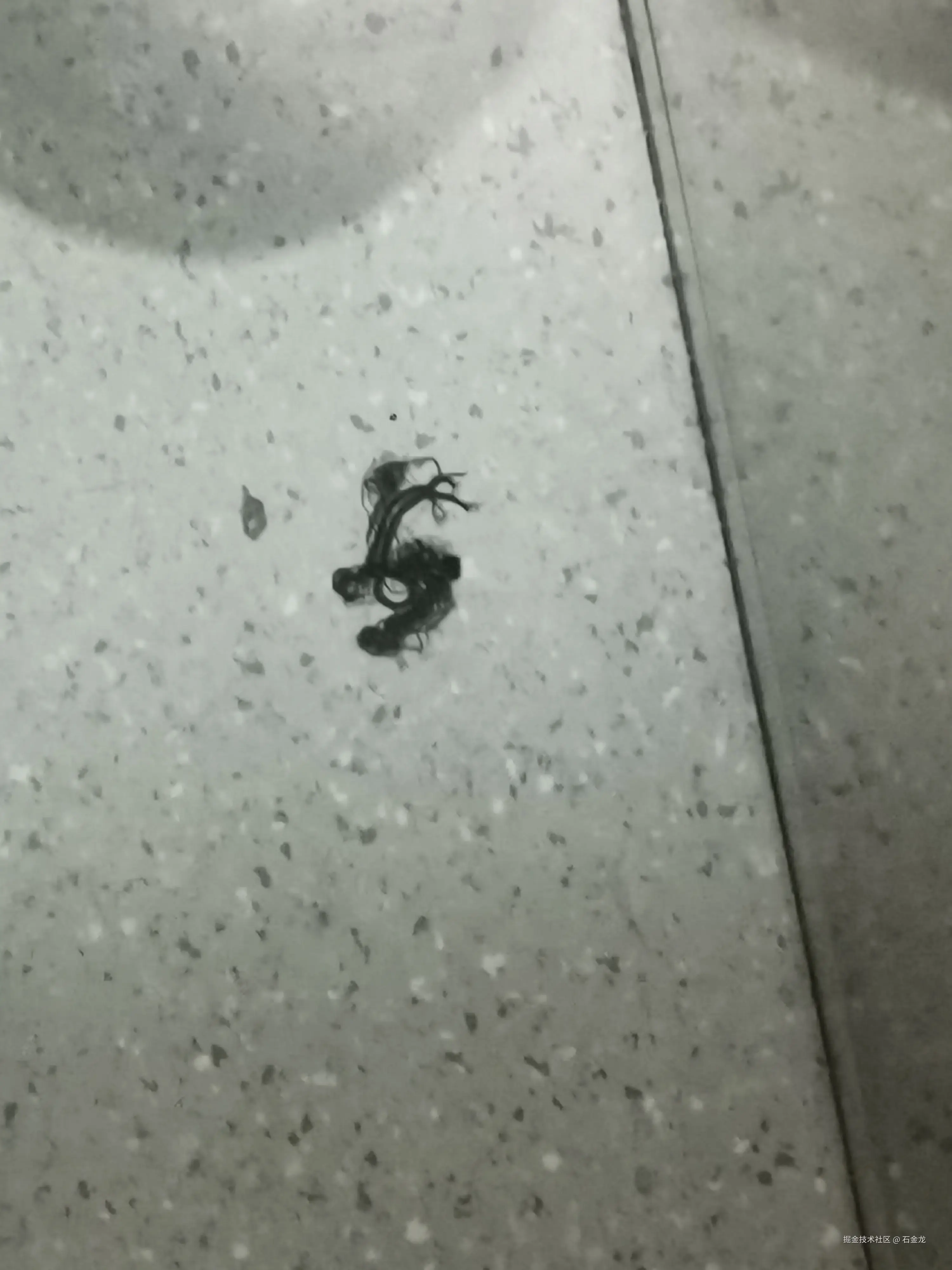 石金龙于2026-03-17 12:31发布的图片