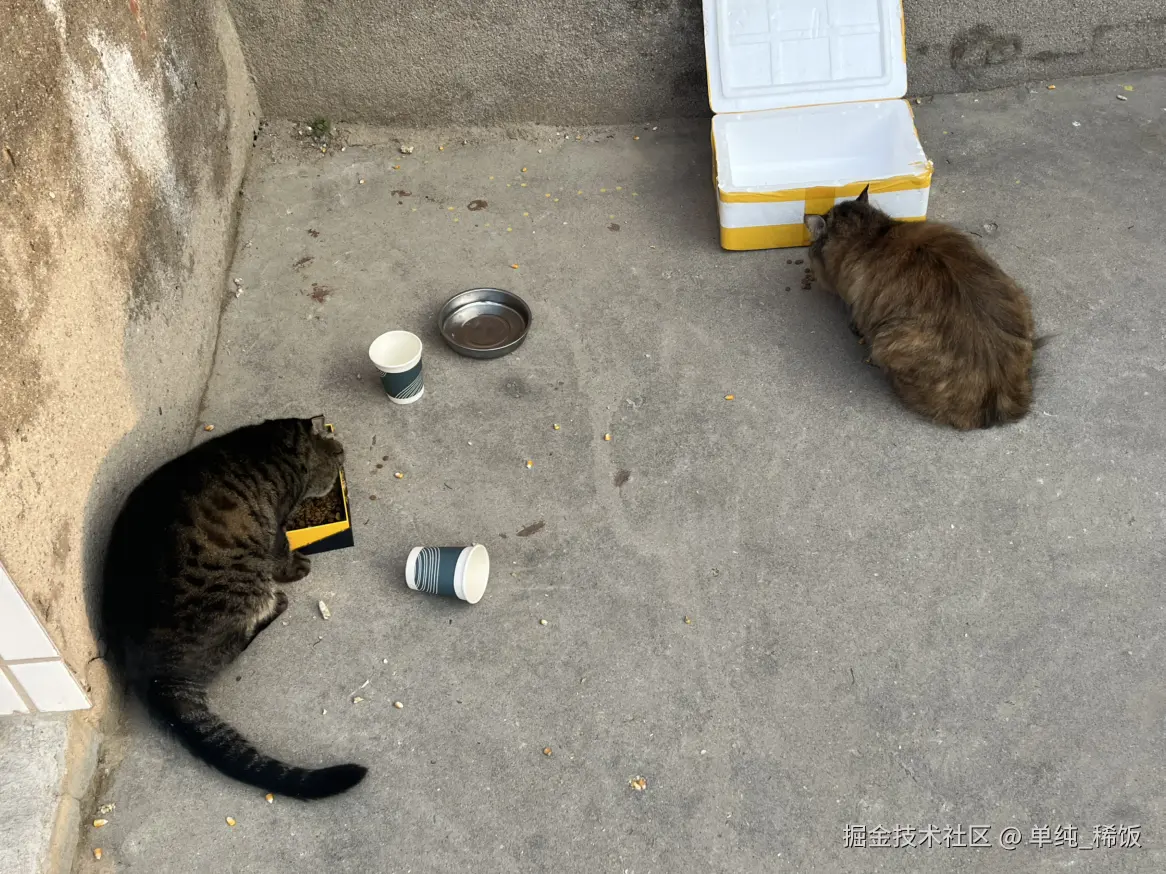 单纯_稀饭于2025-11-04 08:34发布的图片