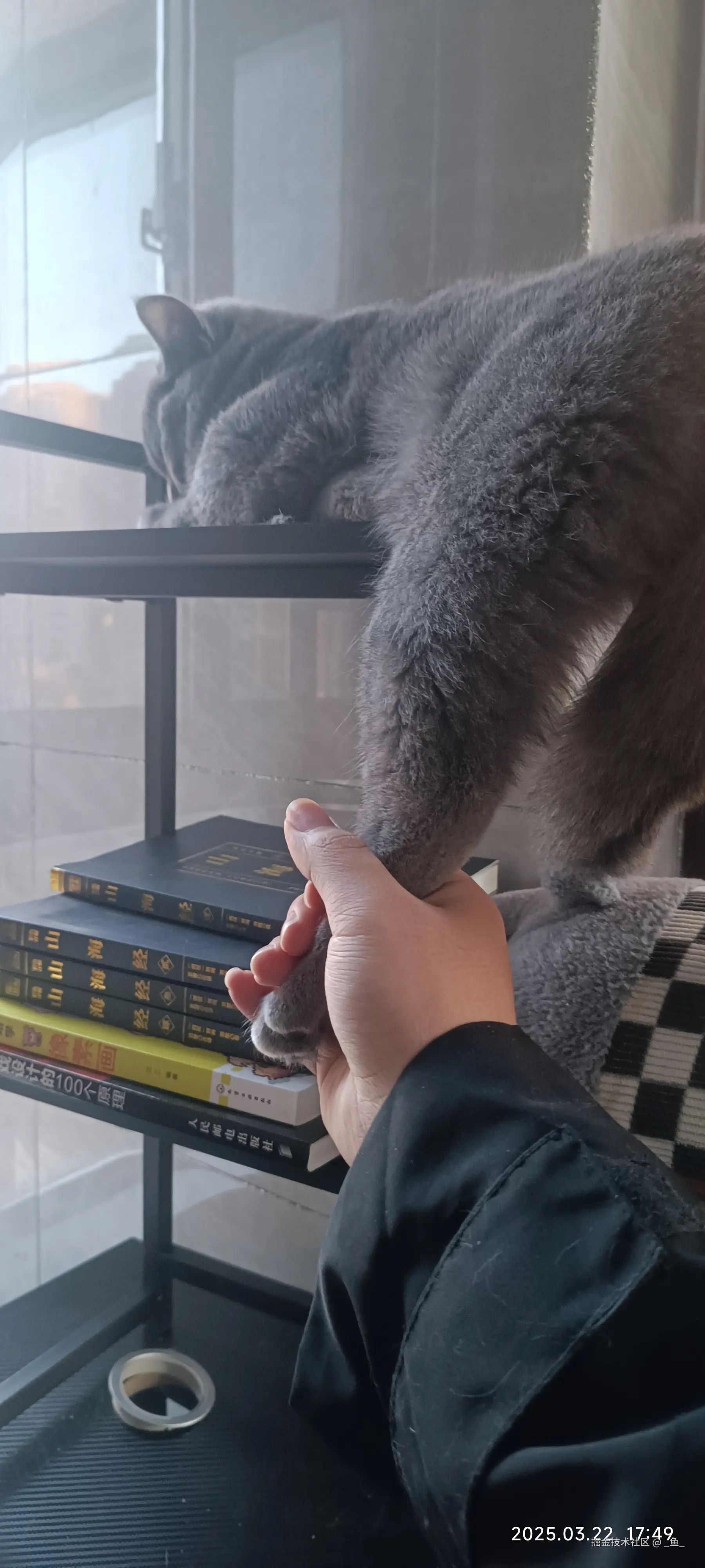 _鱼_于2025-04-14 09:18发布的图片
