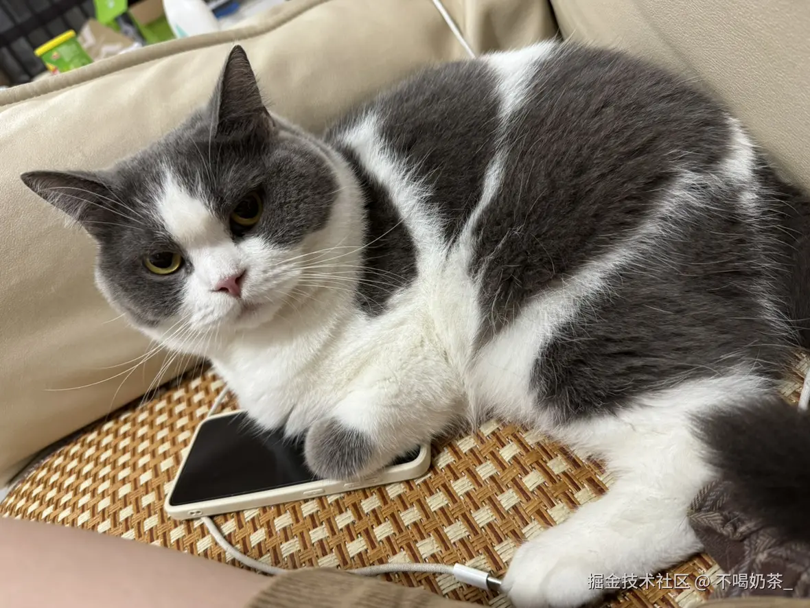 不喝奶茶_于2025-07-14 14:13发布的图片