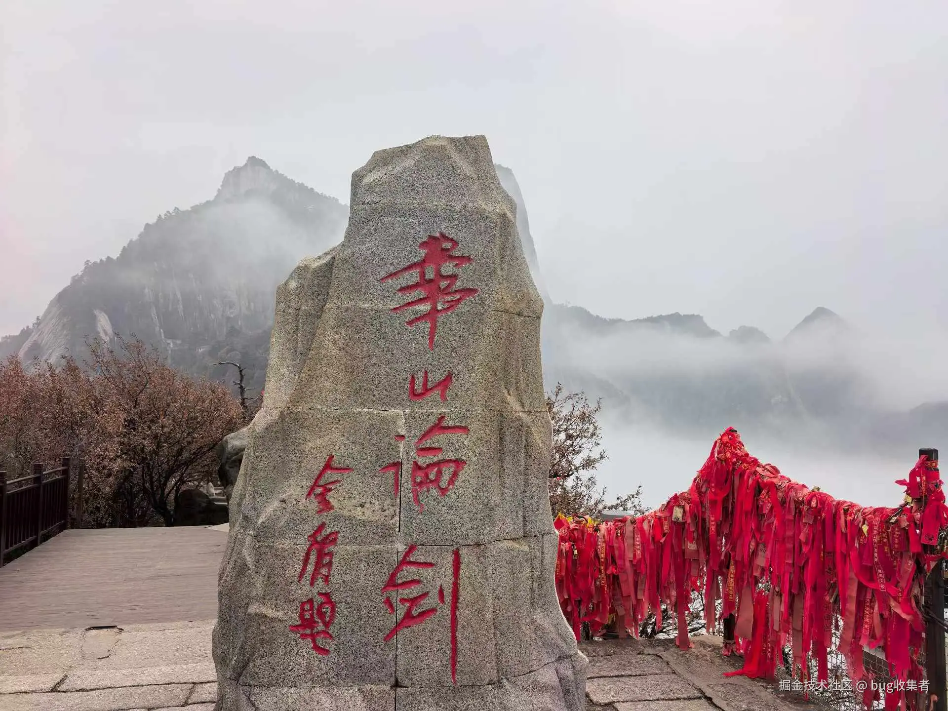 bug收集者于2026-03-09 08:27发布的图片