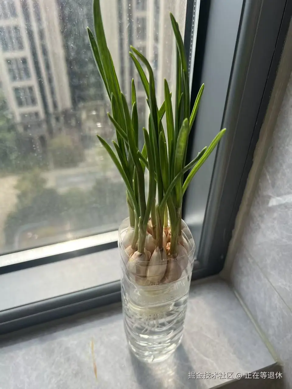 正在等退休于2025-11-04 15:49发布的图片