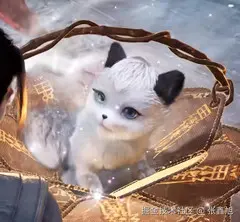 张鑫旭于2024-08-13 22:41发布的图片