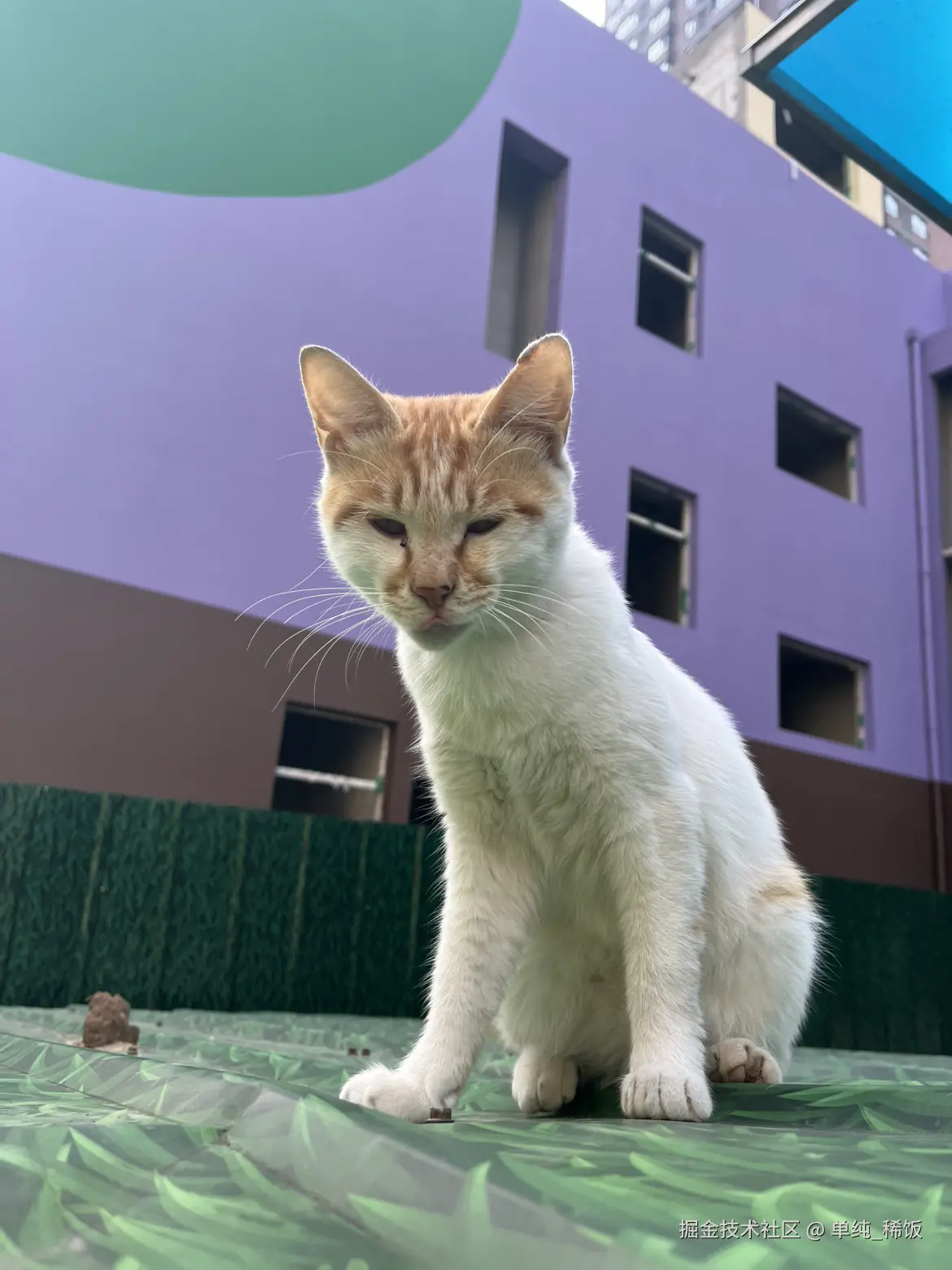 单纯_稀饭于2025-09-24 09:12发布的图片