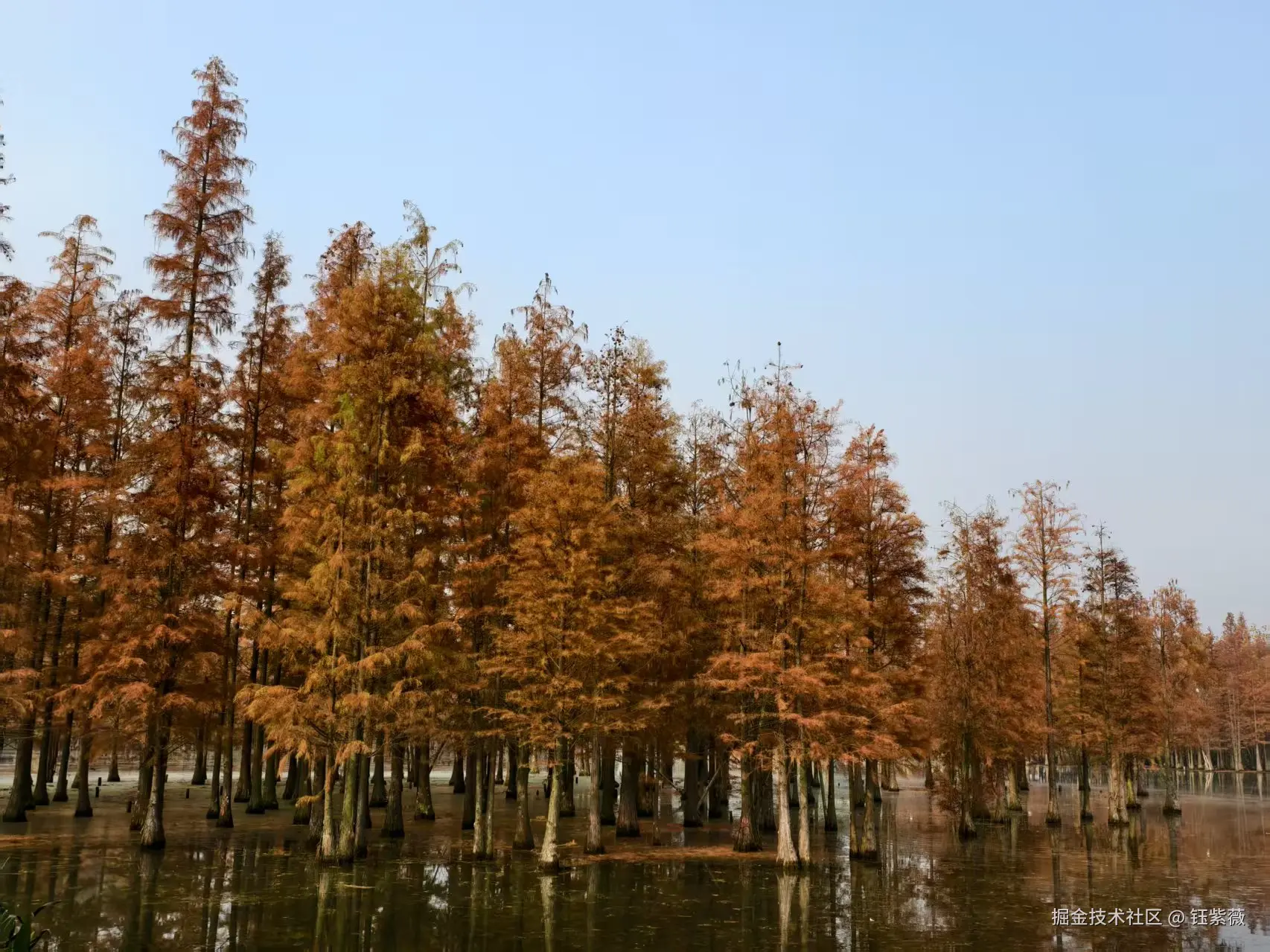 钰紫薇于2025-12-01 01:42发布的图片