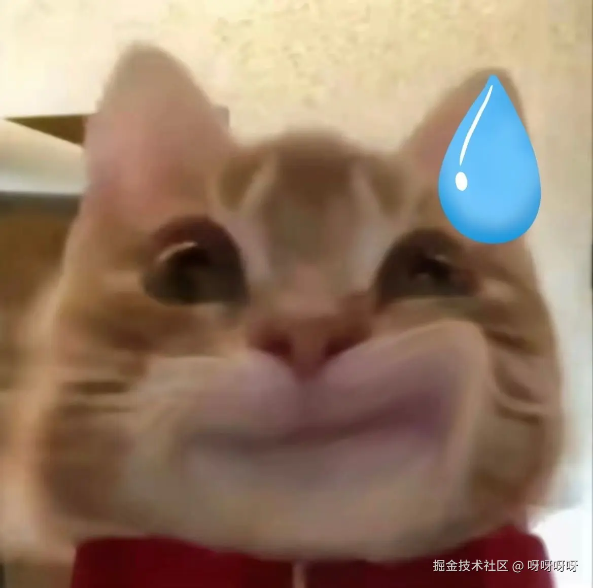 呀呀呀呀于2024-11-20 17:44发布的图片