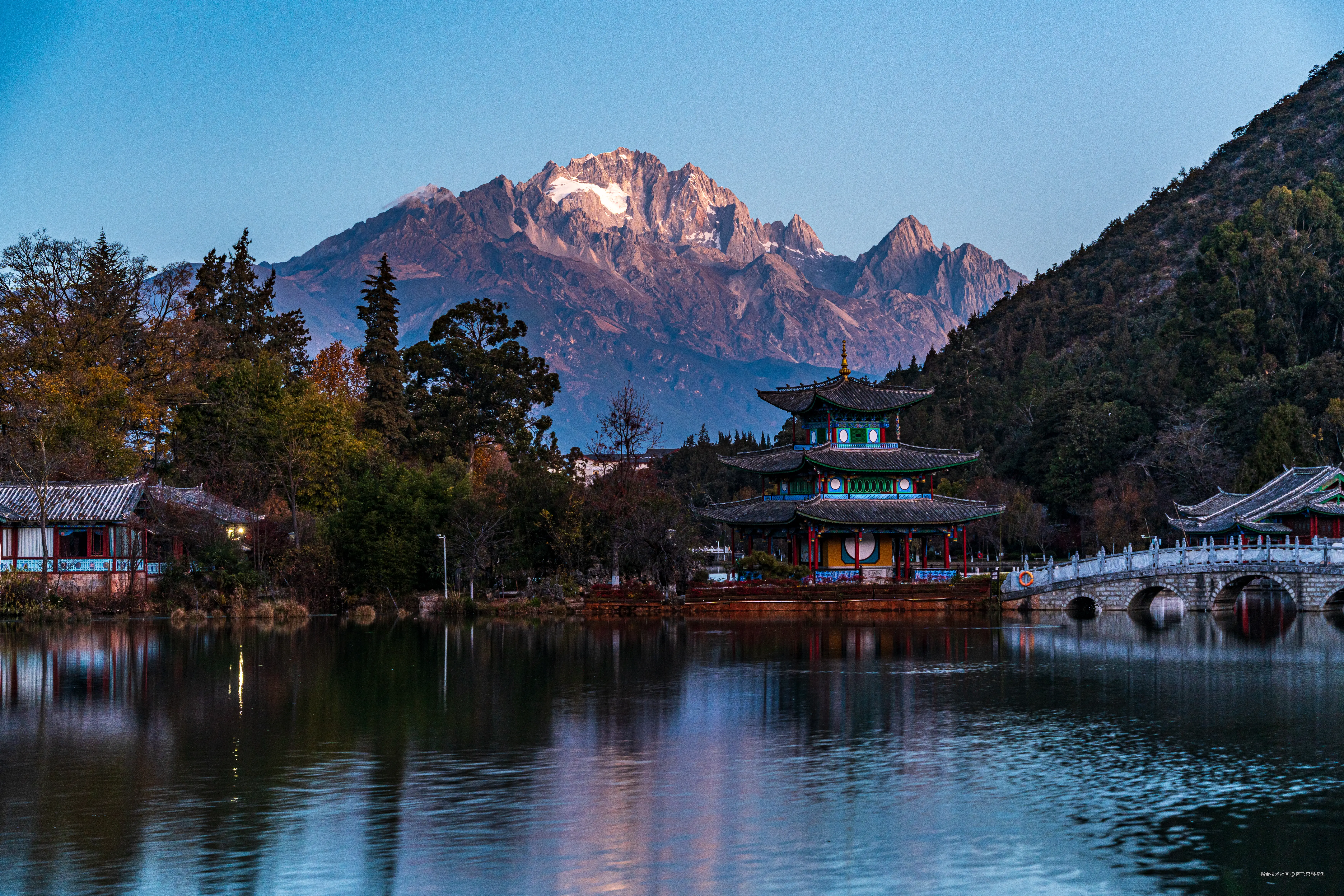 阿飞只想摸鱼于2026-02-11 14:49发布的图片