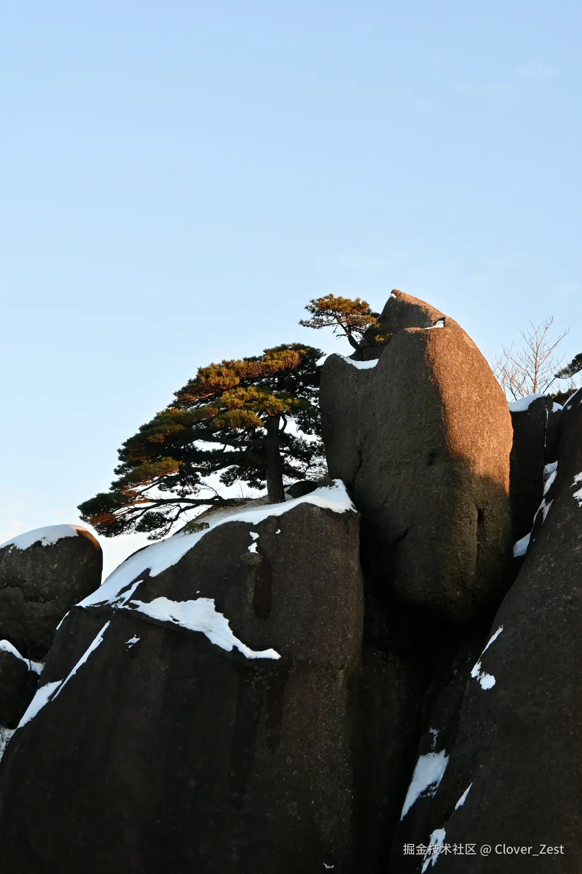 Clover_Zest于2026-01-08 01:01发布的图片