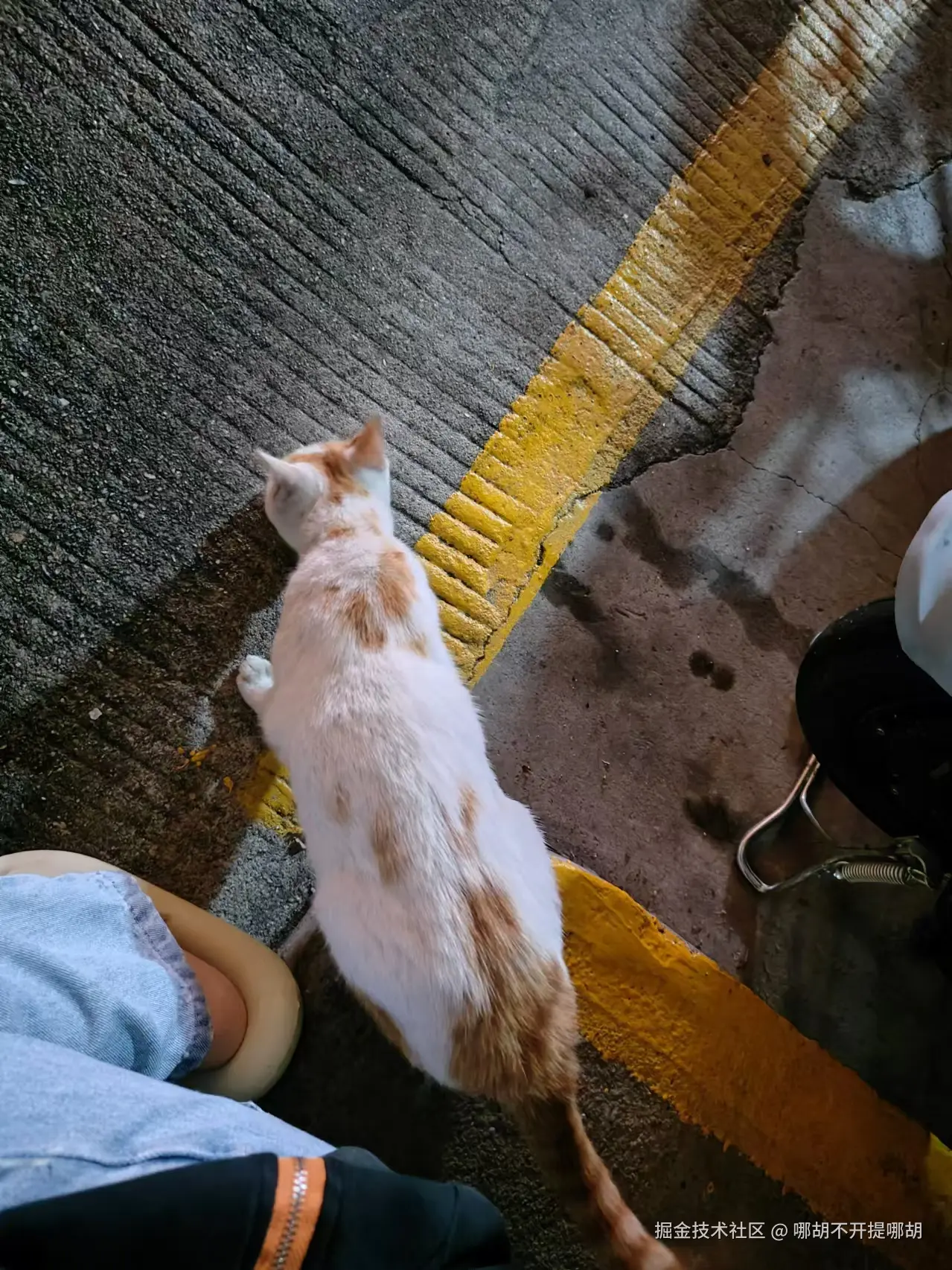 哪胡不开提哪胡于2024-11-26 09:46发布的图片