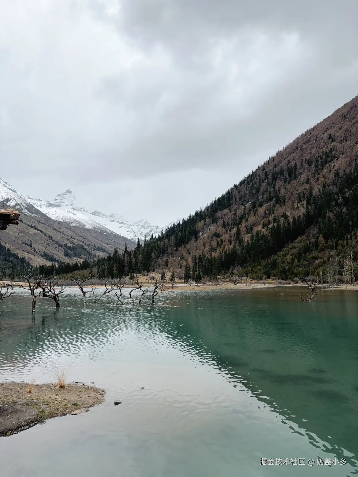 奶盖小多于2026-04-21 16:29发布的图片