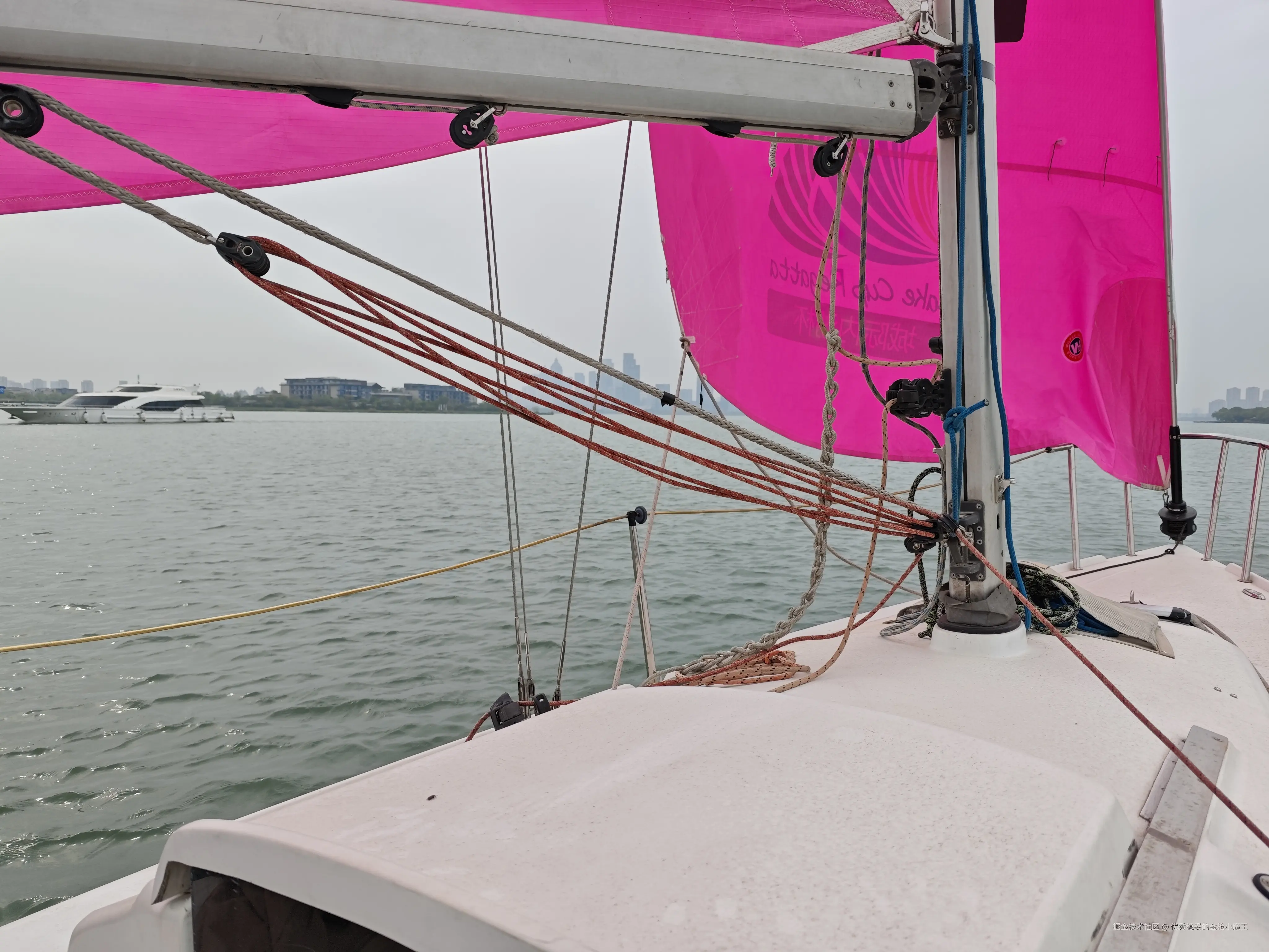 优秀稳妥的金枪小魔王于2025-04-16 15:05发布的图片