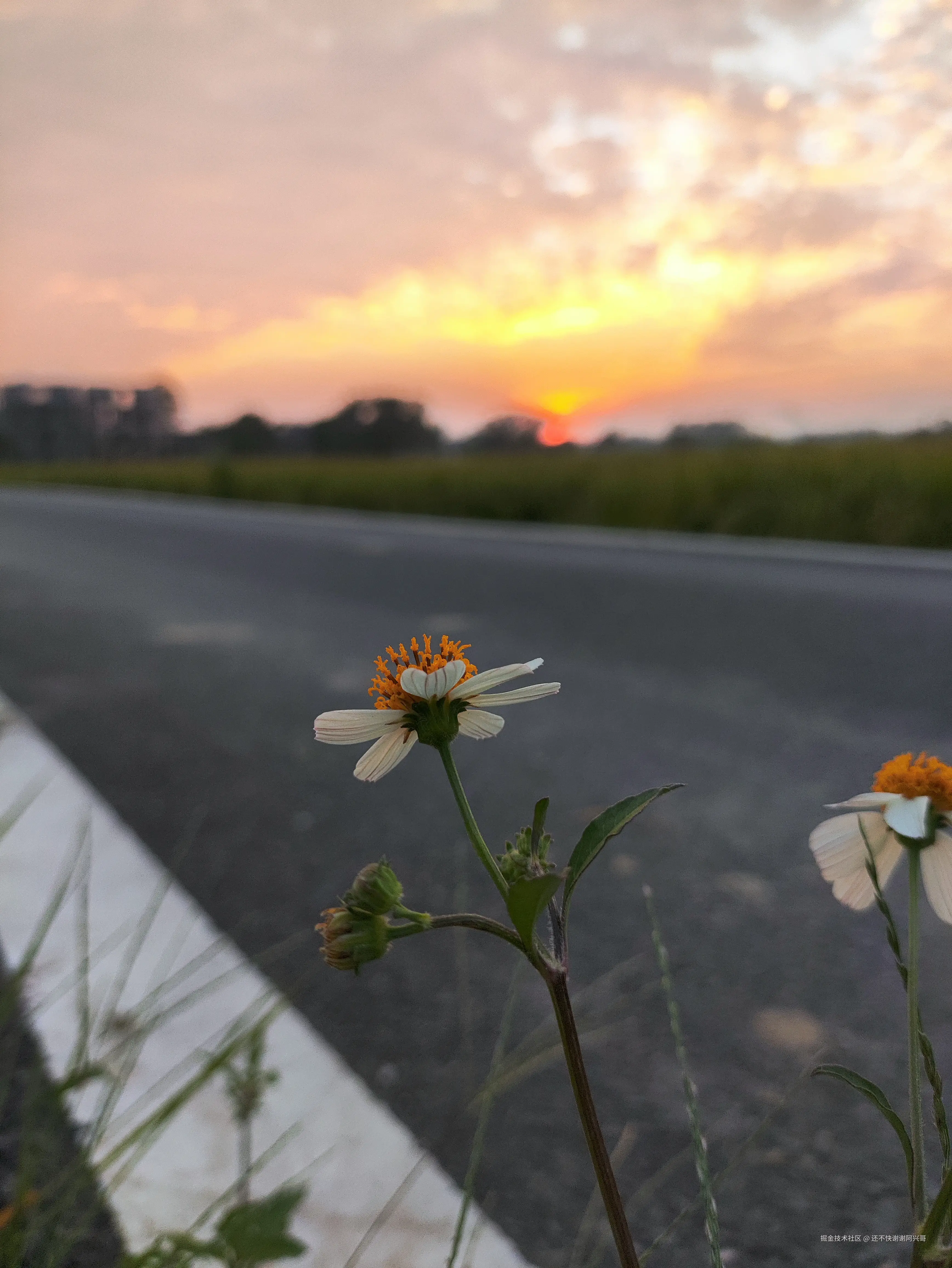 还不快谢谢阿兴哥于2025-10-27 10:05发布的图片