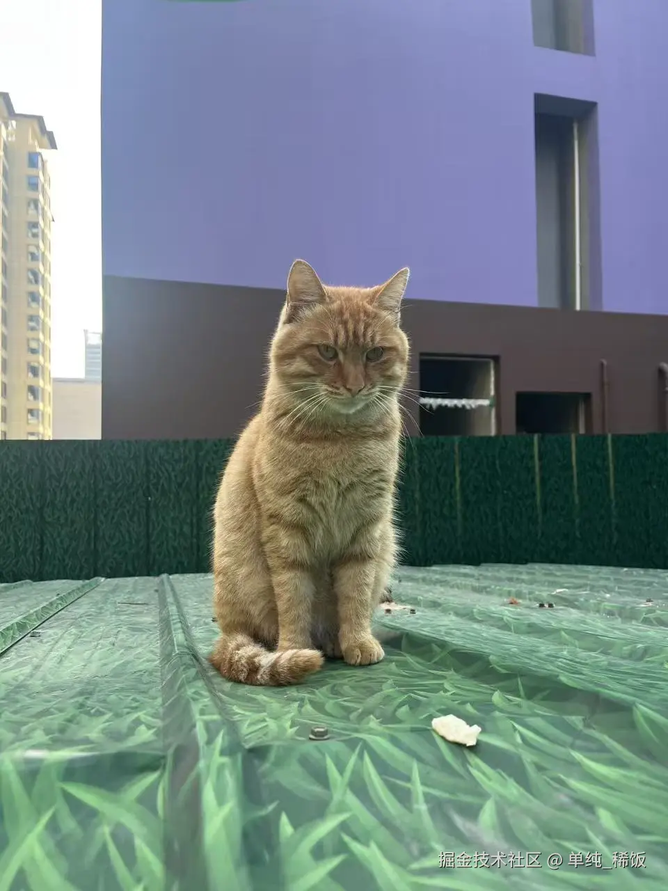 单纯_稀饭于2025-10-27 09:56发布的图片