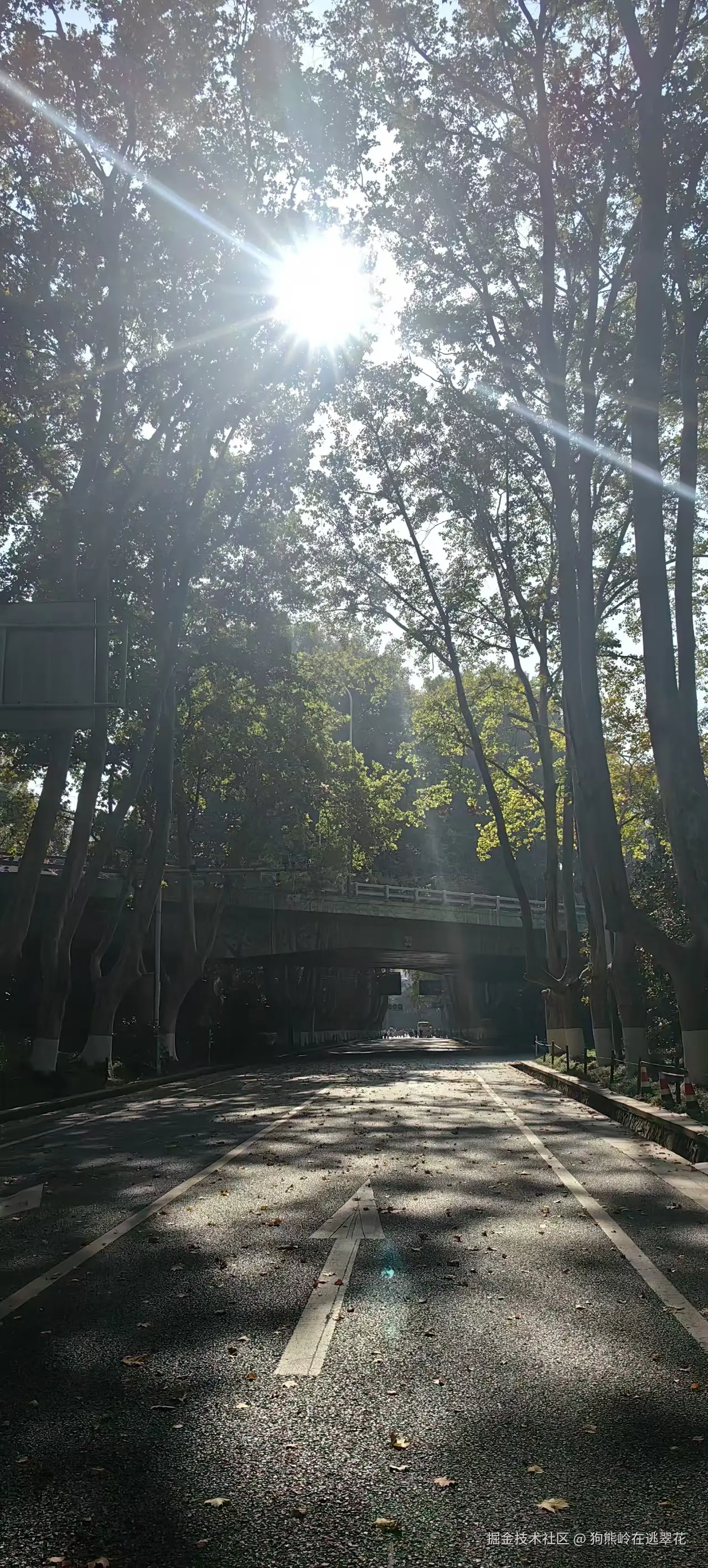 狗熊岭在逃翠花于2025-11-17 11:08发布的图片