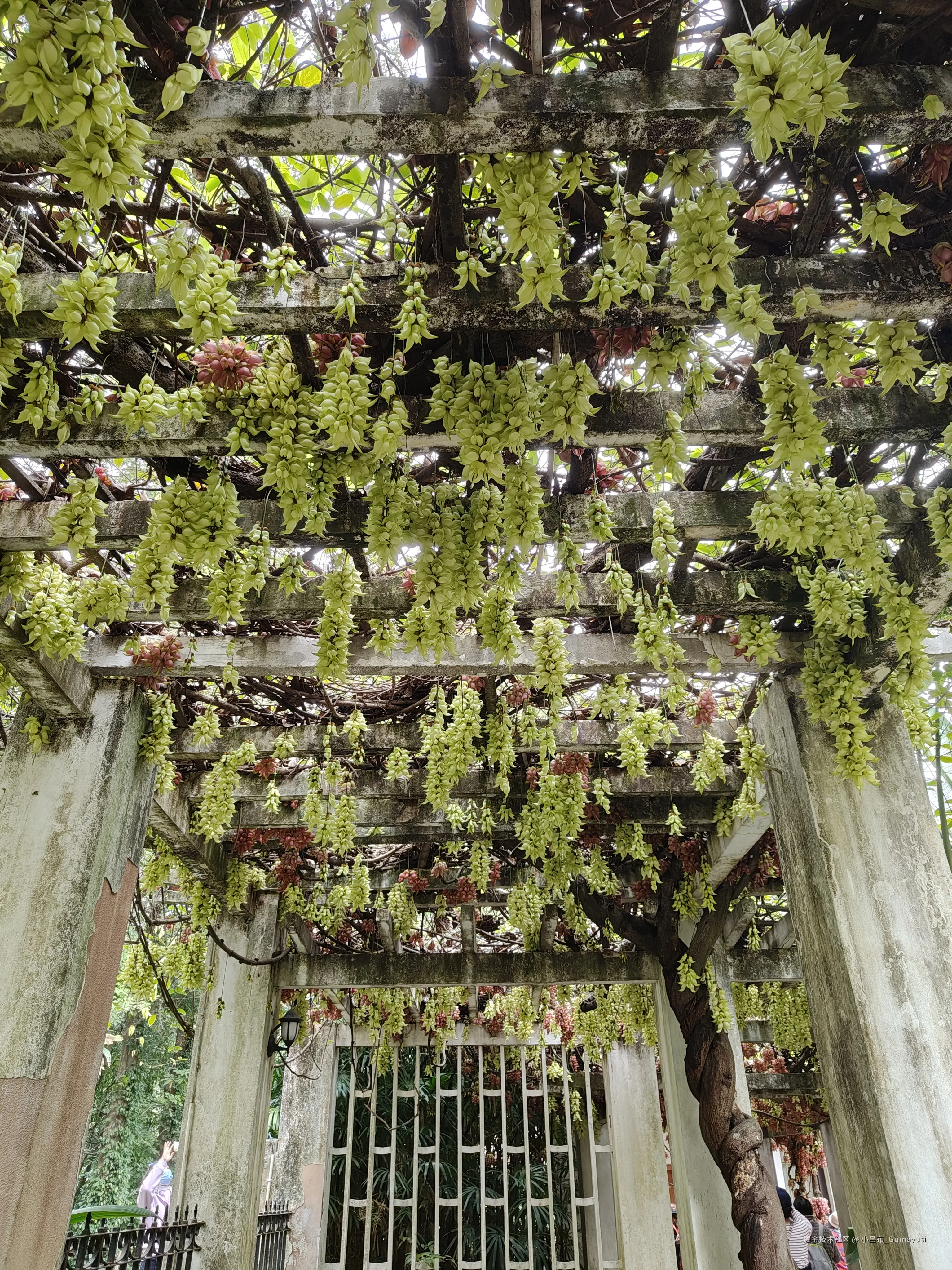 小吕布_Gumayusi于2025-03-10 09:53发布的图片