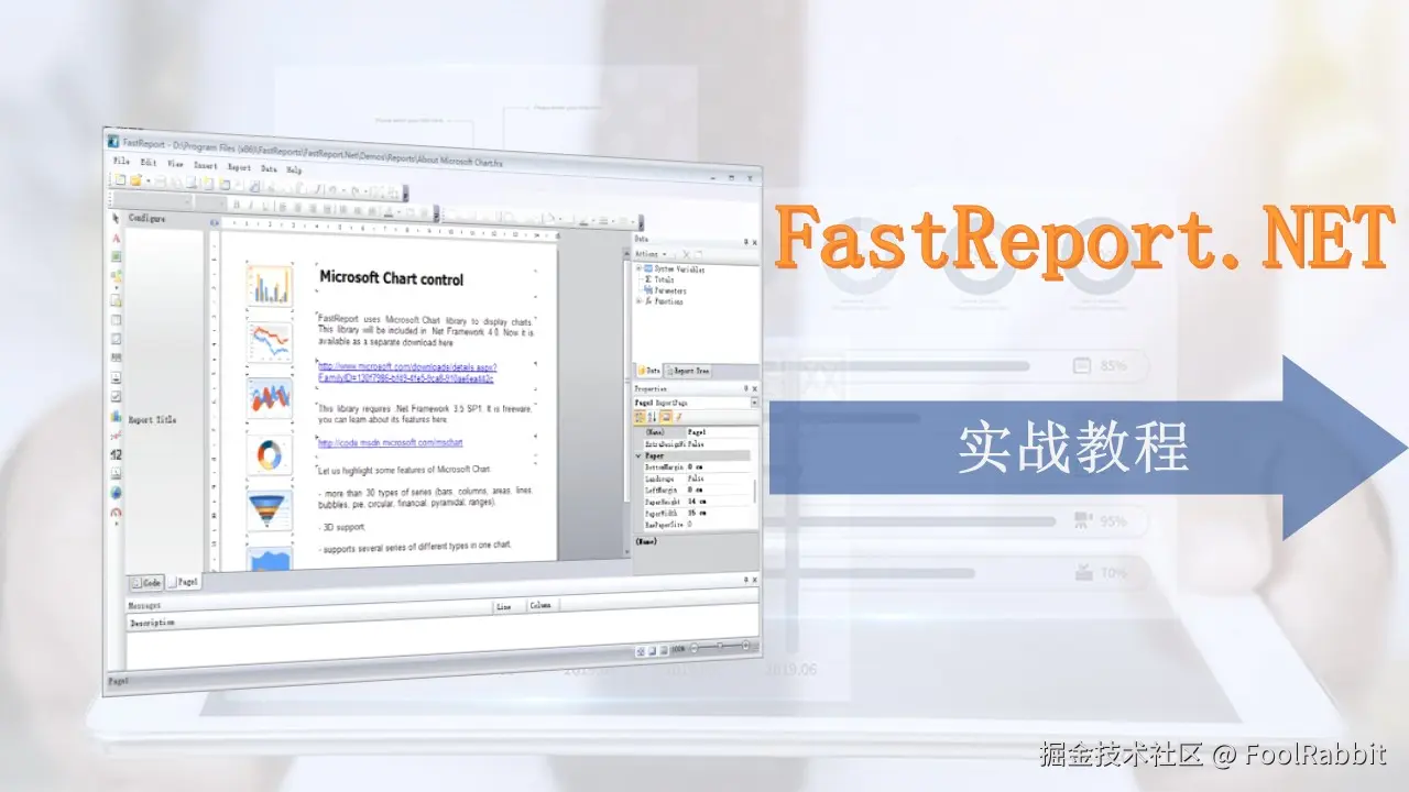 FastReport.NET实战教程