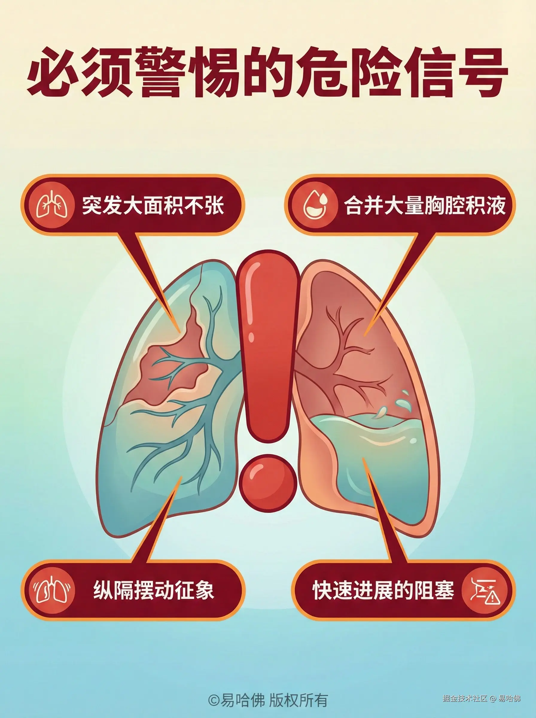 易哈佛于2026-01-05 09:25发布的图片