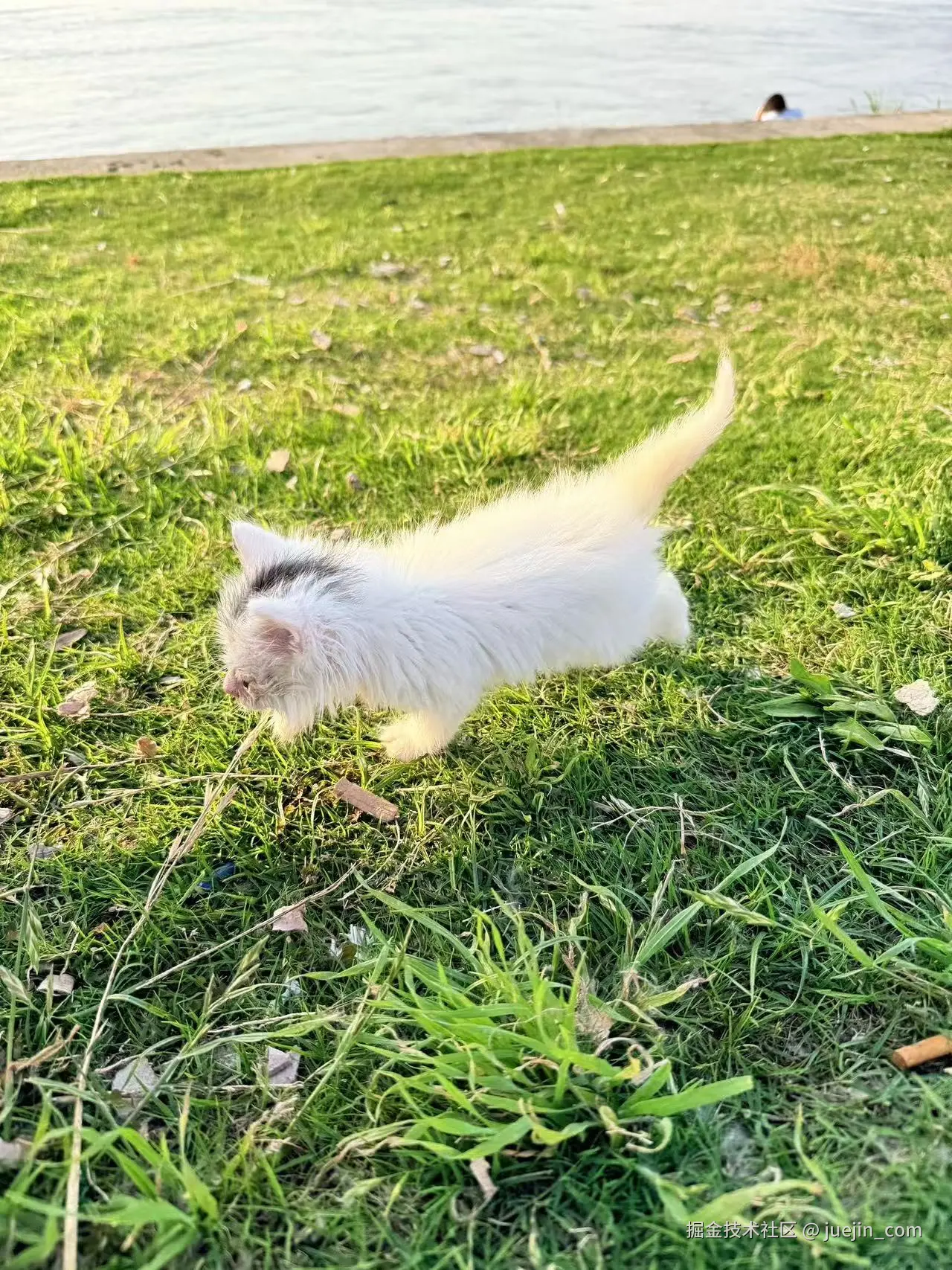 juejin_com于2026-04-20 09:53发布的图片