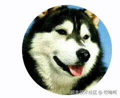 哎呦呵于2025-06-06 06:02发布的图片