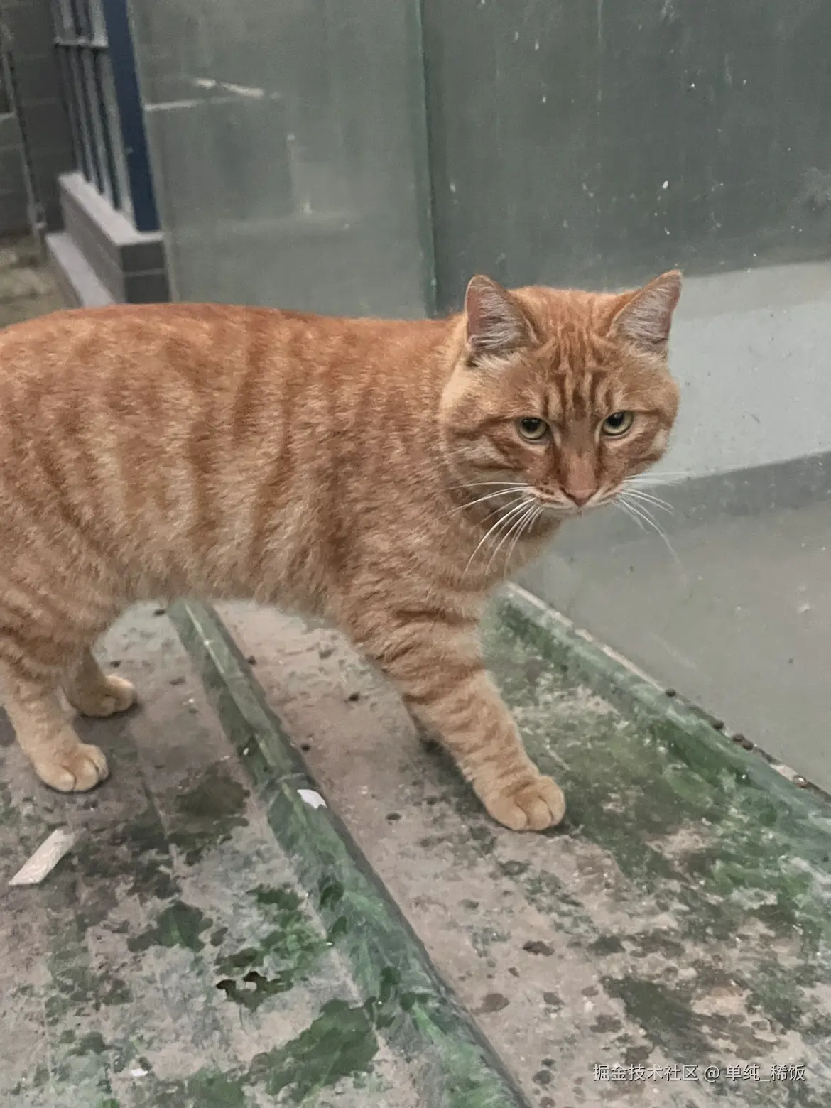 单纯_稀饭于2025-10-28 08:29发布的图片