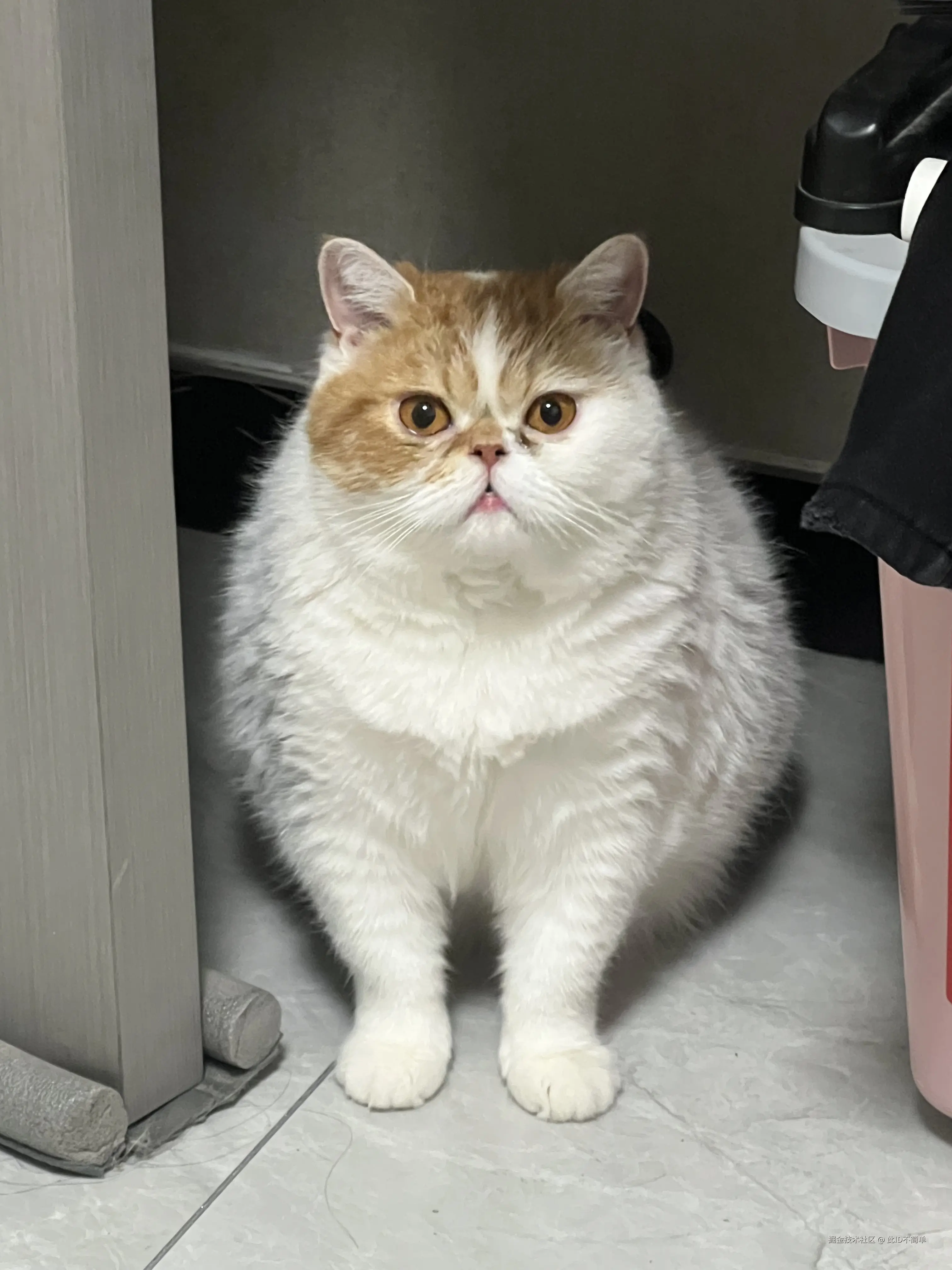 此ID不简单于2024-12-11 00:58发布的图片