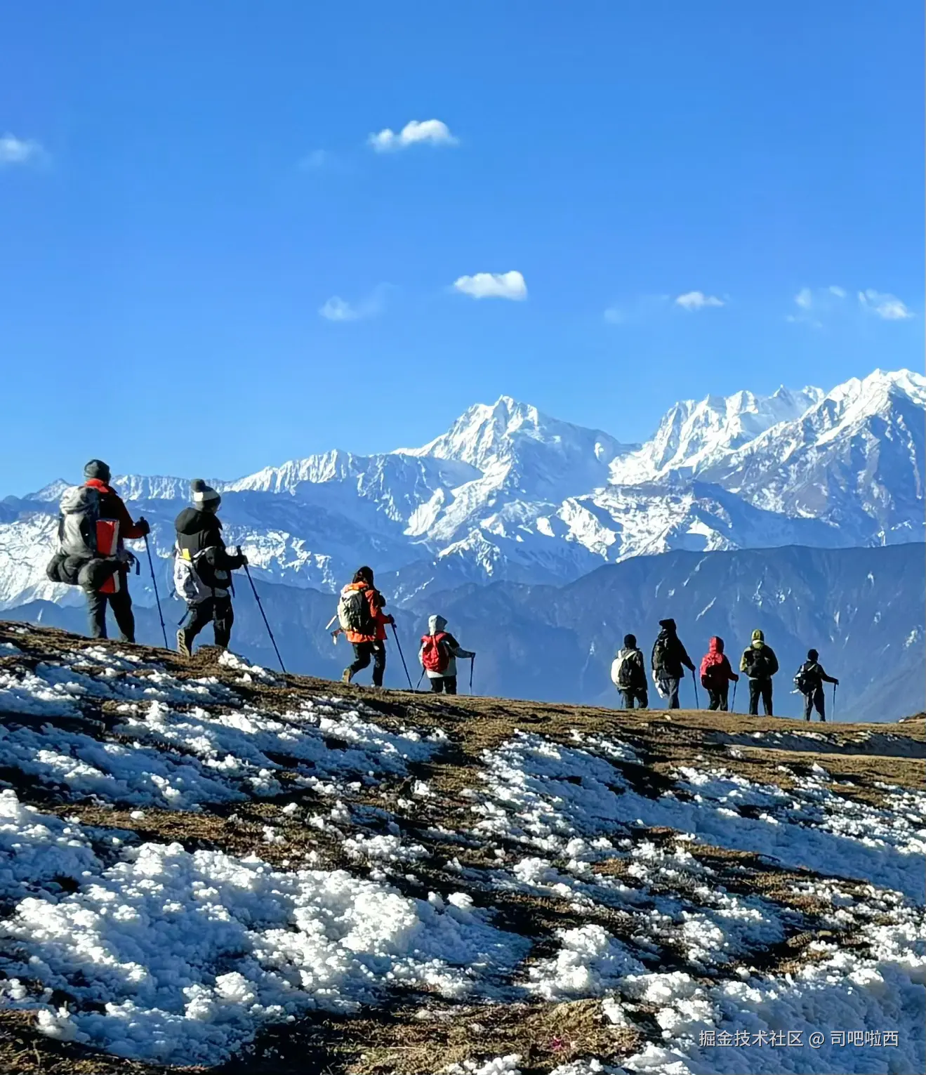 司吧啦西于2025-01-02 11:21发布的图片