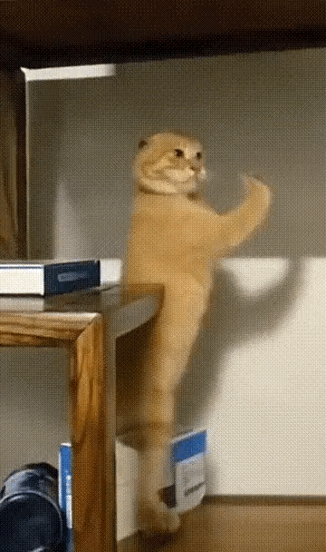 _whitepure于2025-09-28 15:58发布的图片